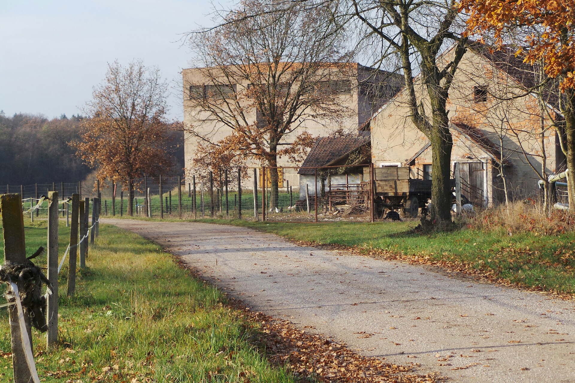 Jezdecký klub Tůně, z.s.