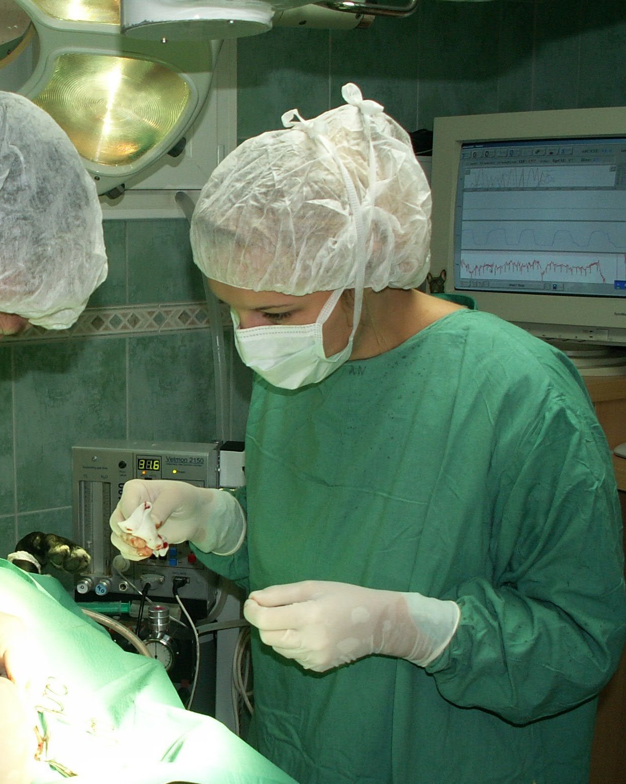 Veterinární ordinace AmiVet - MVDr. Michaela Medrová foto 1
