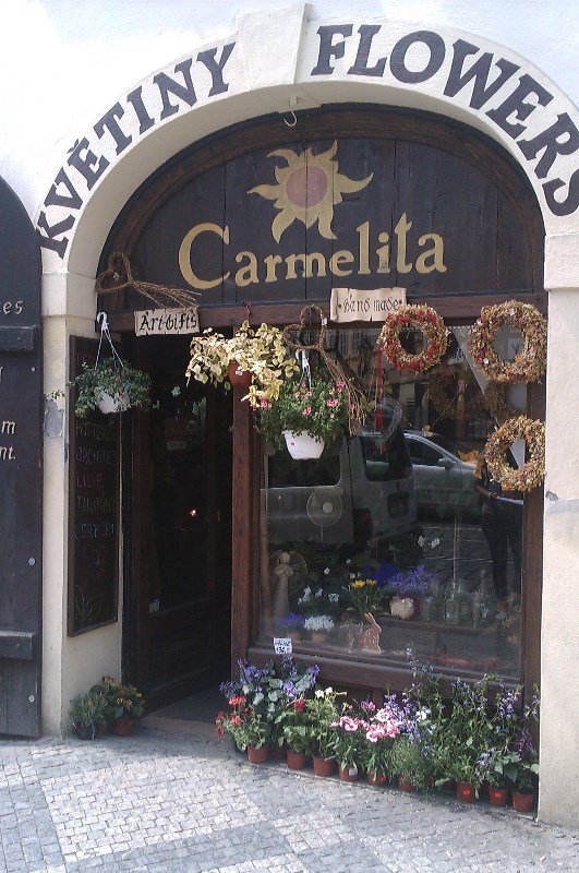 Květiny Carmelita foto 2
