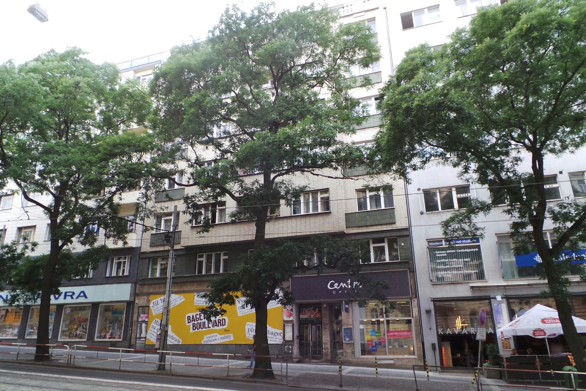 Mgr. Eva Hlinková foto 1