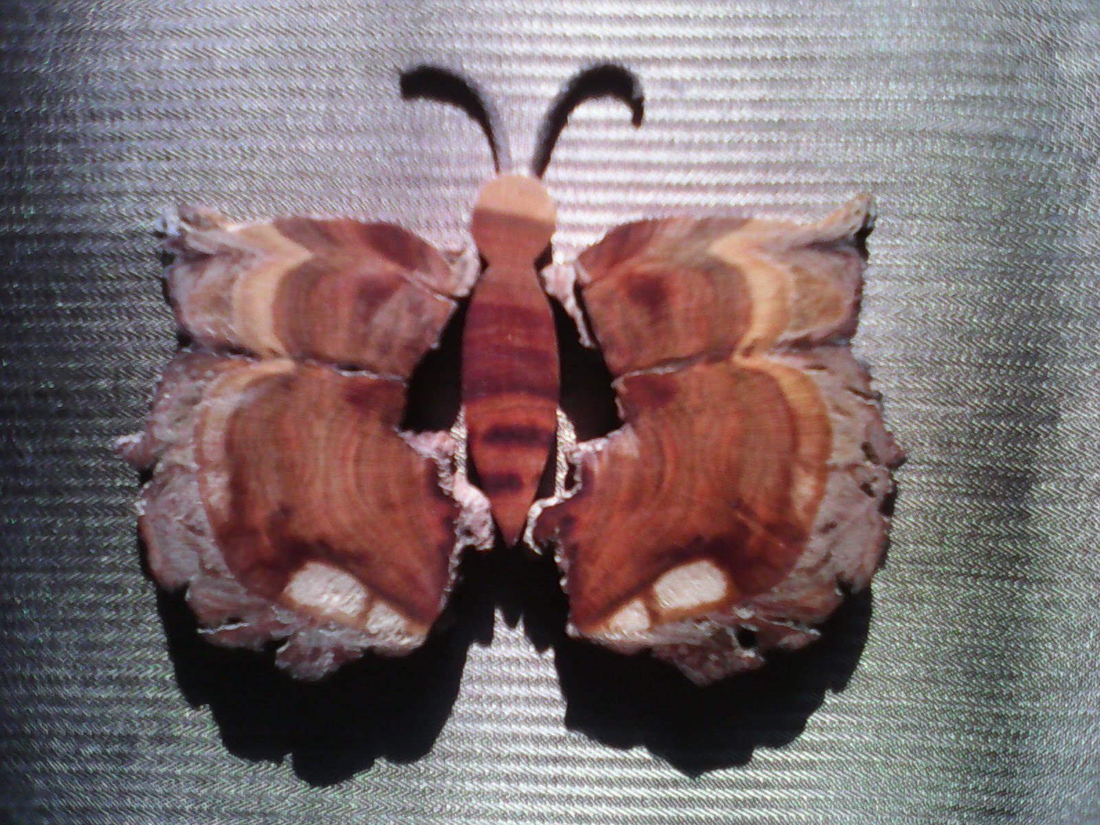 Agentura ARS VITA foto 4