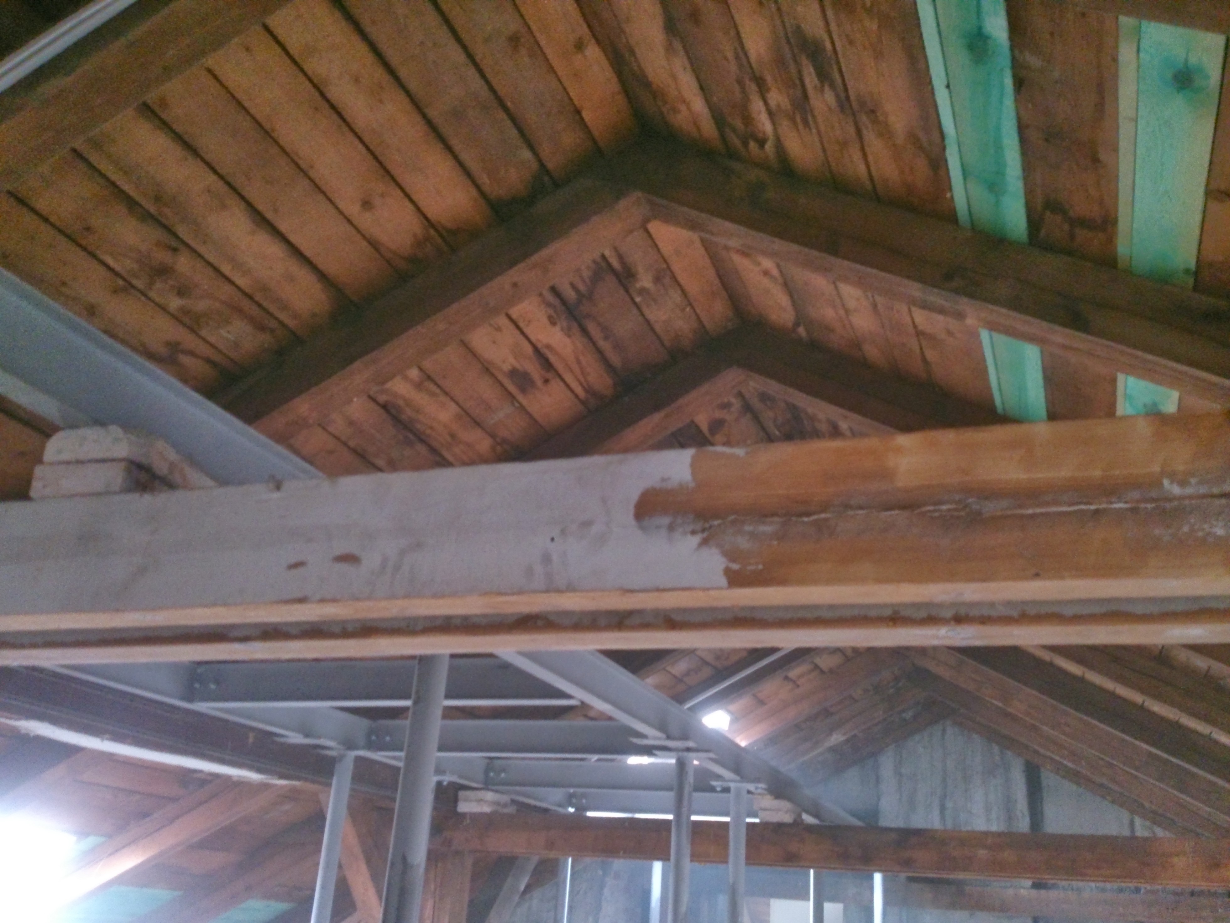 MH-Chemická ochrana dřeva s.r.o. foto 5