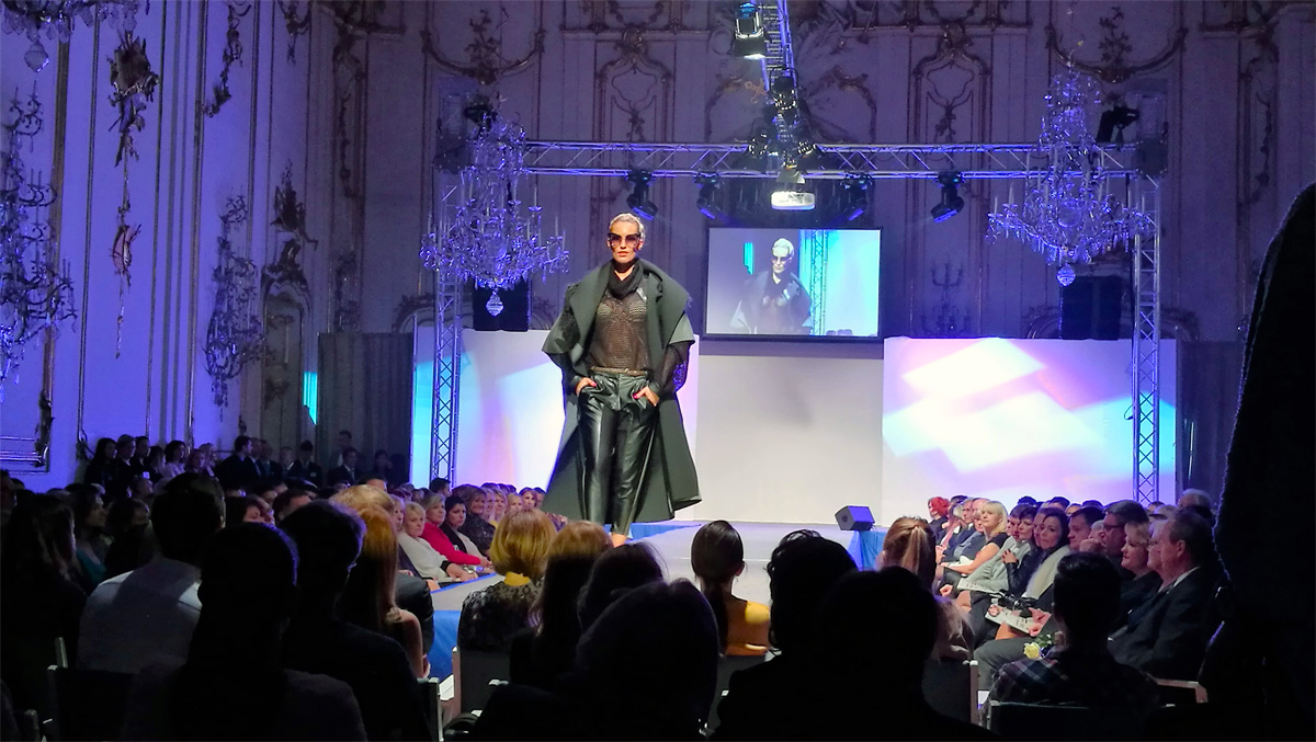 Danceshow.cz - David Kreml foto 3