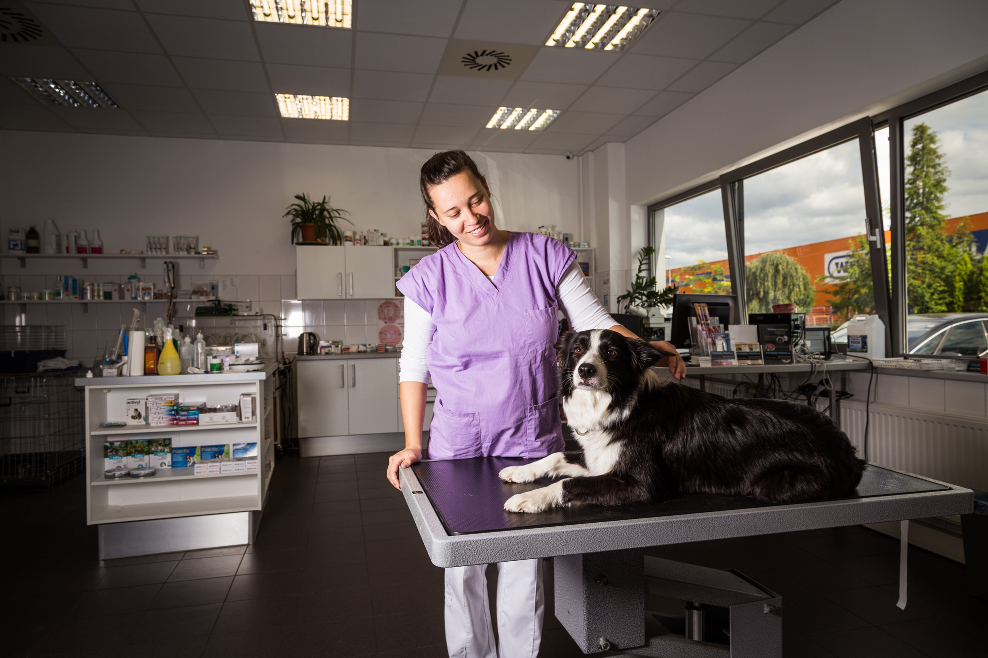 Veterinární klinika - VetPark, MVDr. Dominik Vlach foto 6