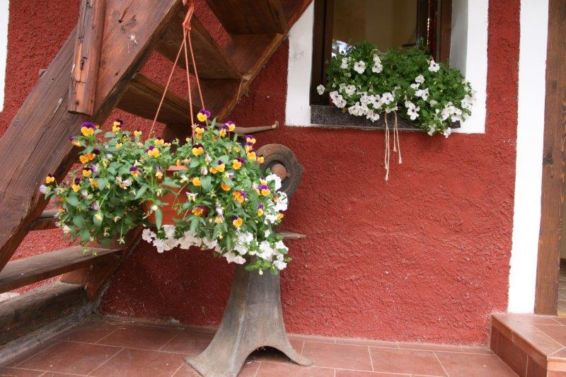 Farma Kunclův Mlýn foto 4