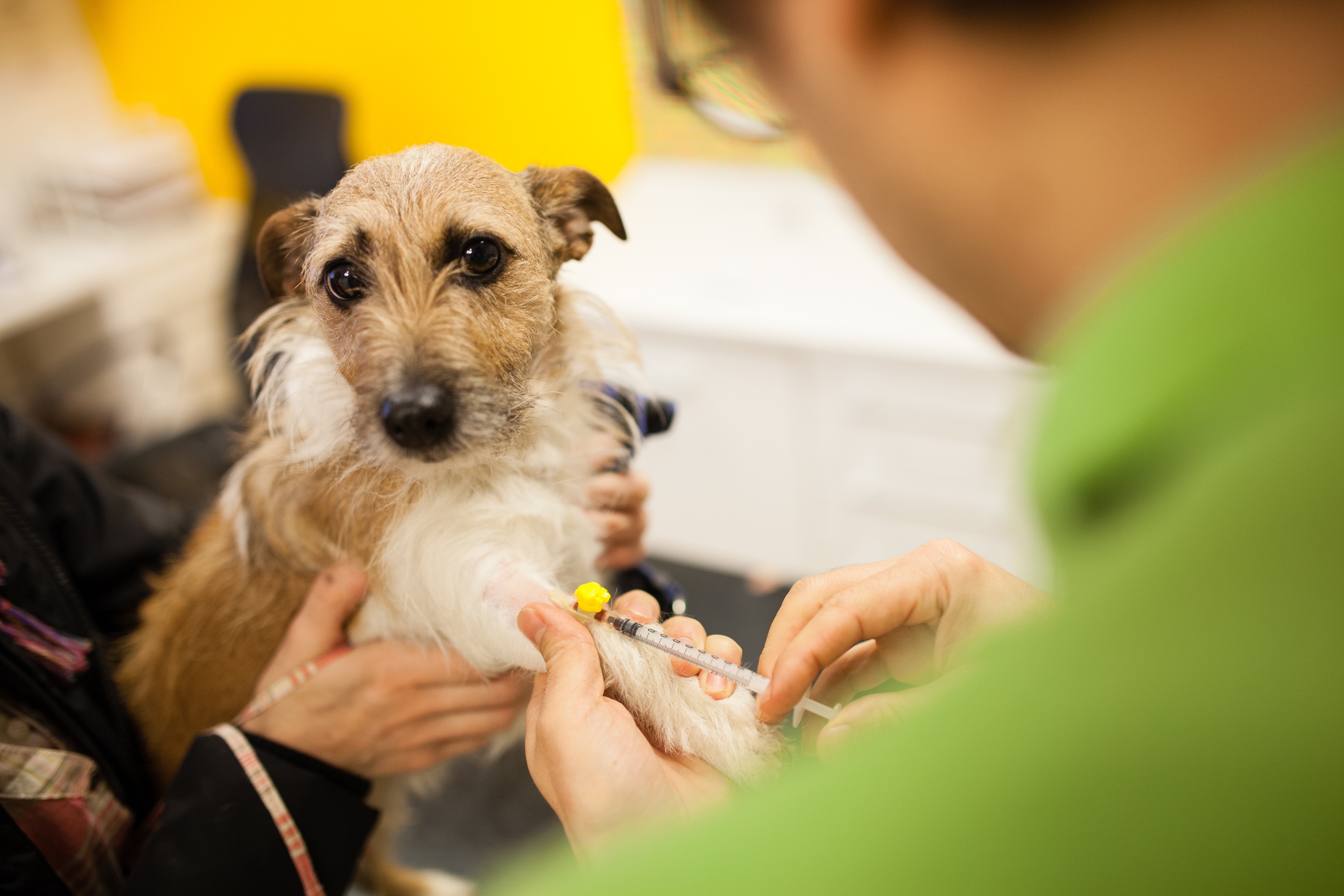 Veterinární klinika VetVill foto 4