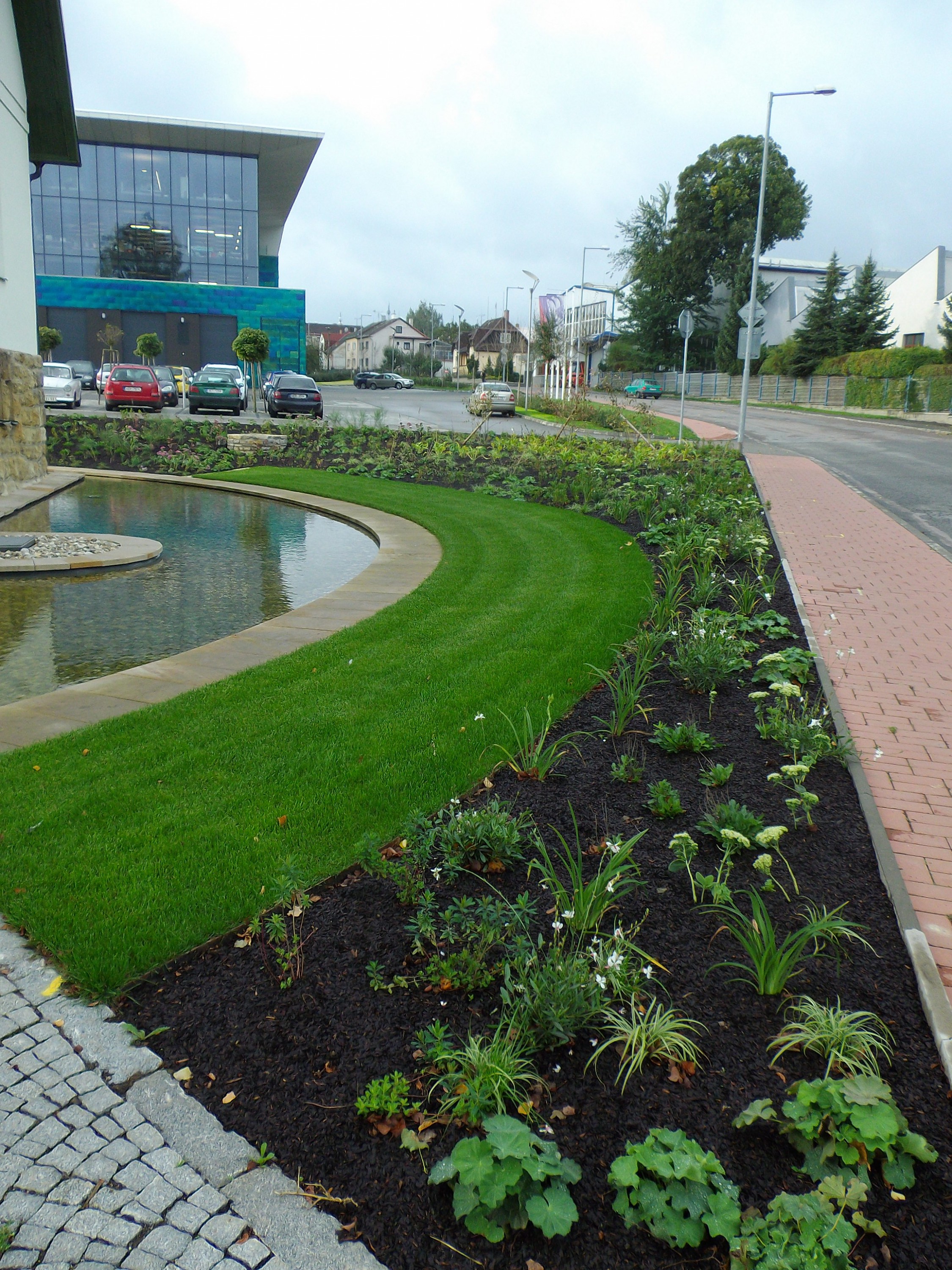 Ovocné a okrasné školky foto 3