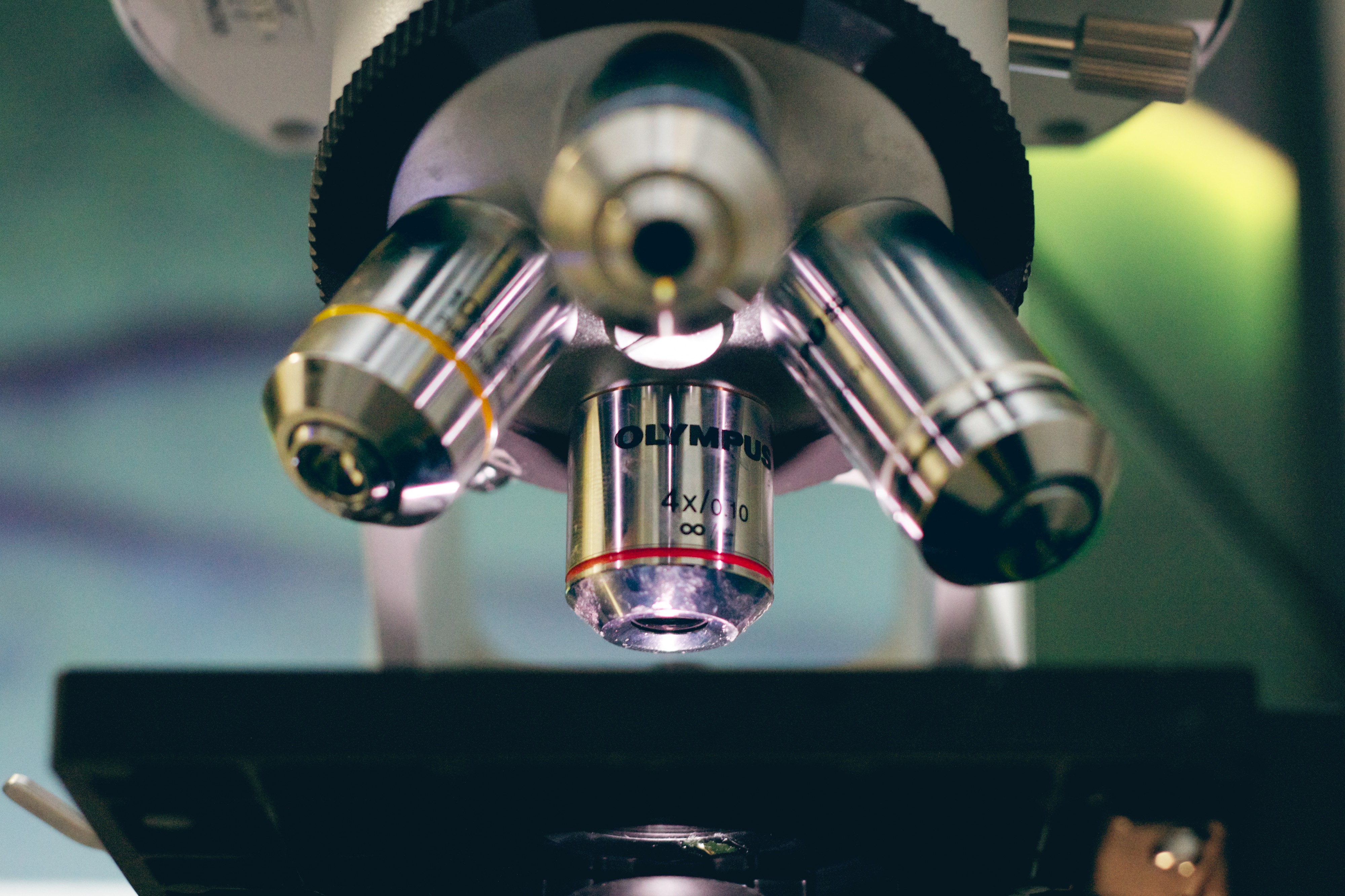 Klinika Veterina u kostela s.r.o. foto 4