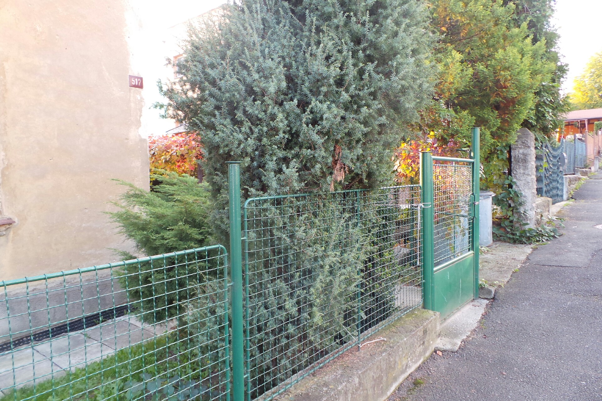 Ing. Jan Křenek foto 1