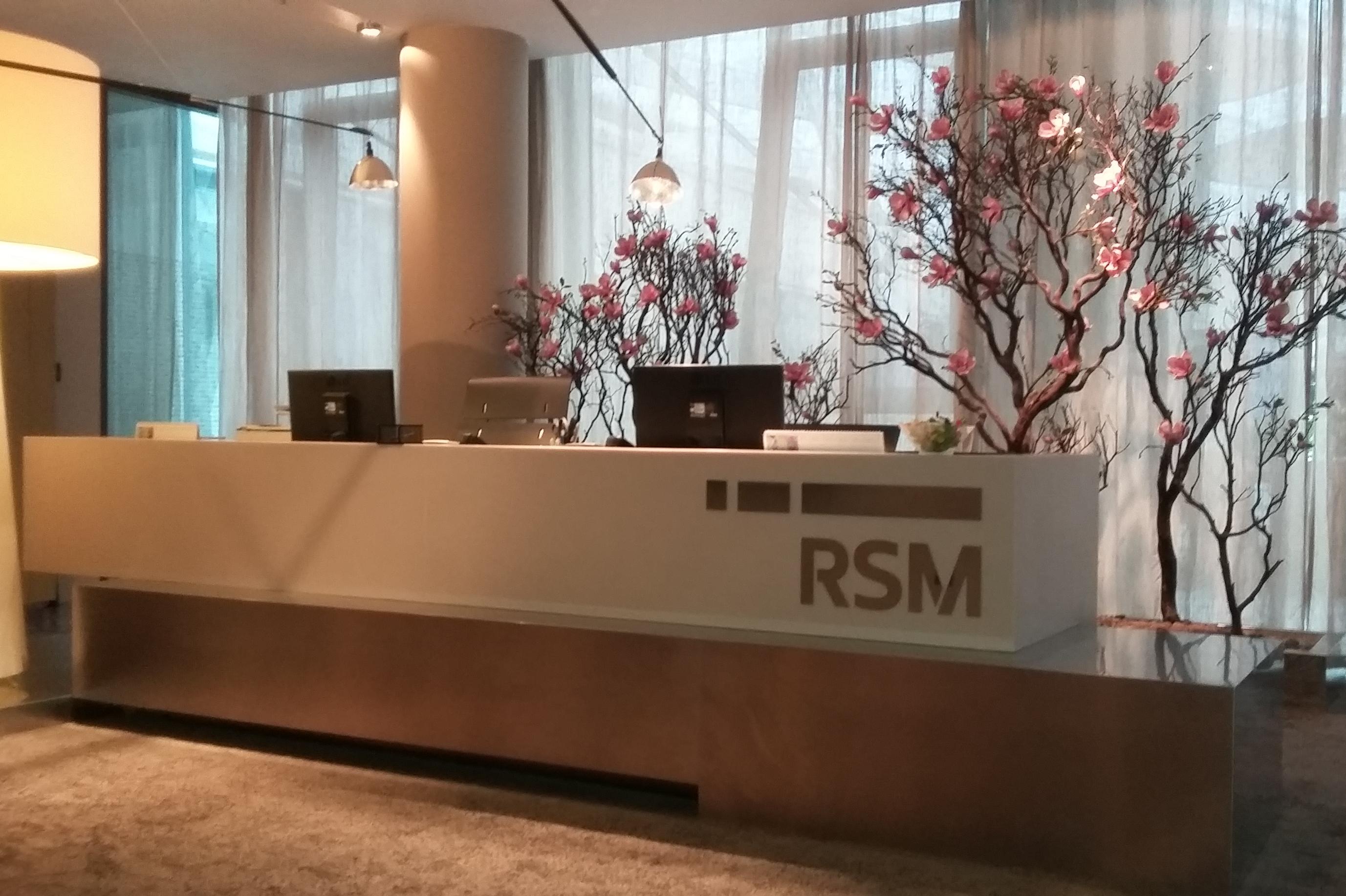 RSM Technology CZ s.r.o.