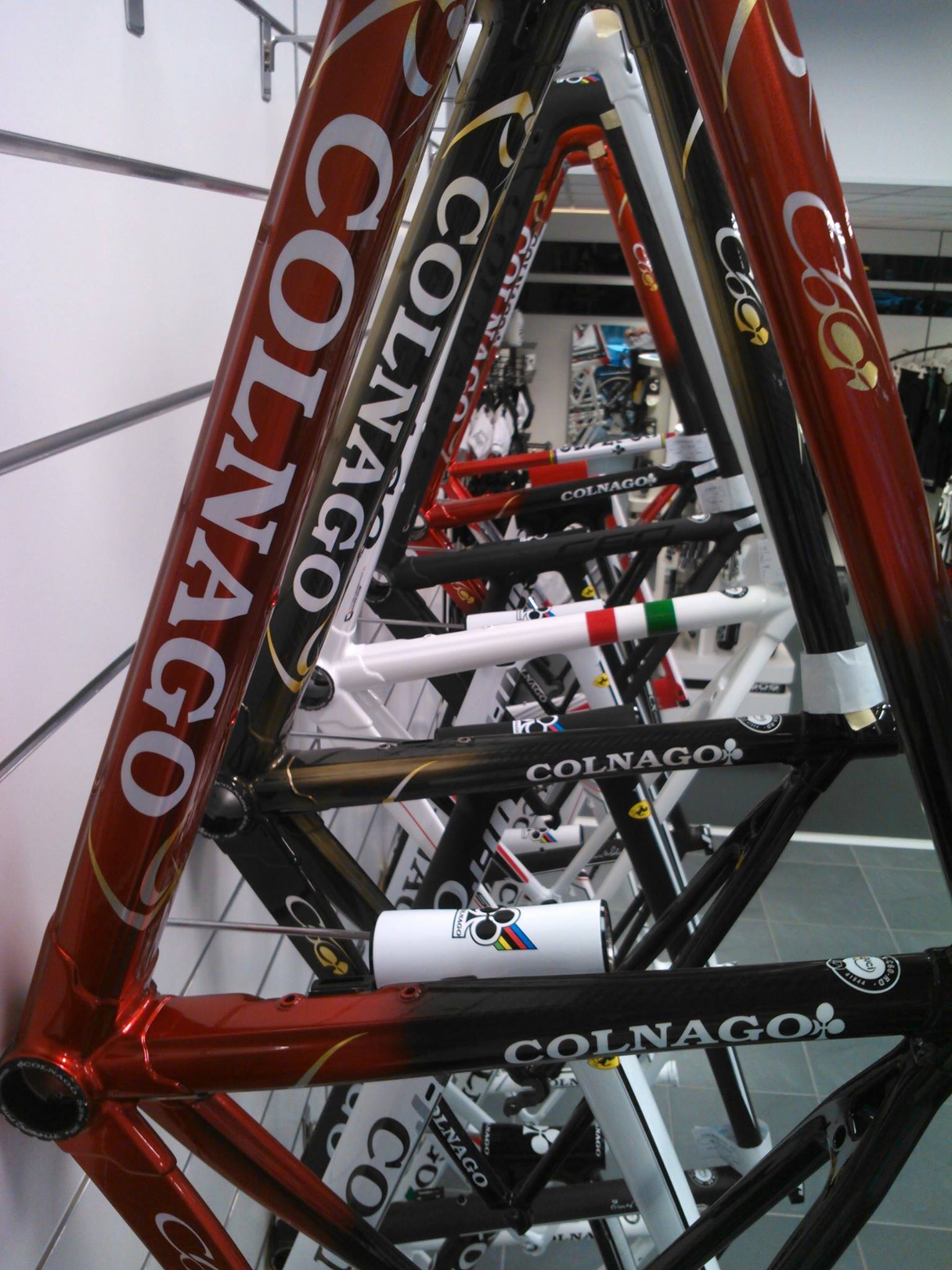 COLNAGO & ASSOS ProShop foto 3