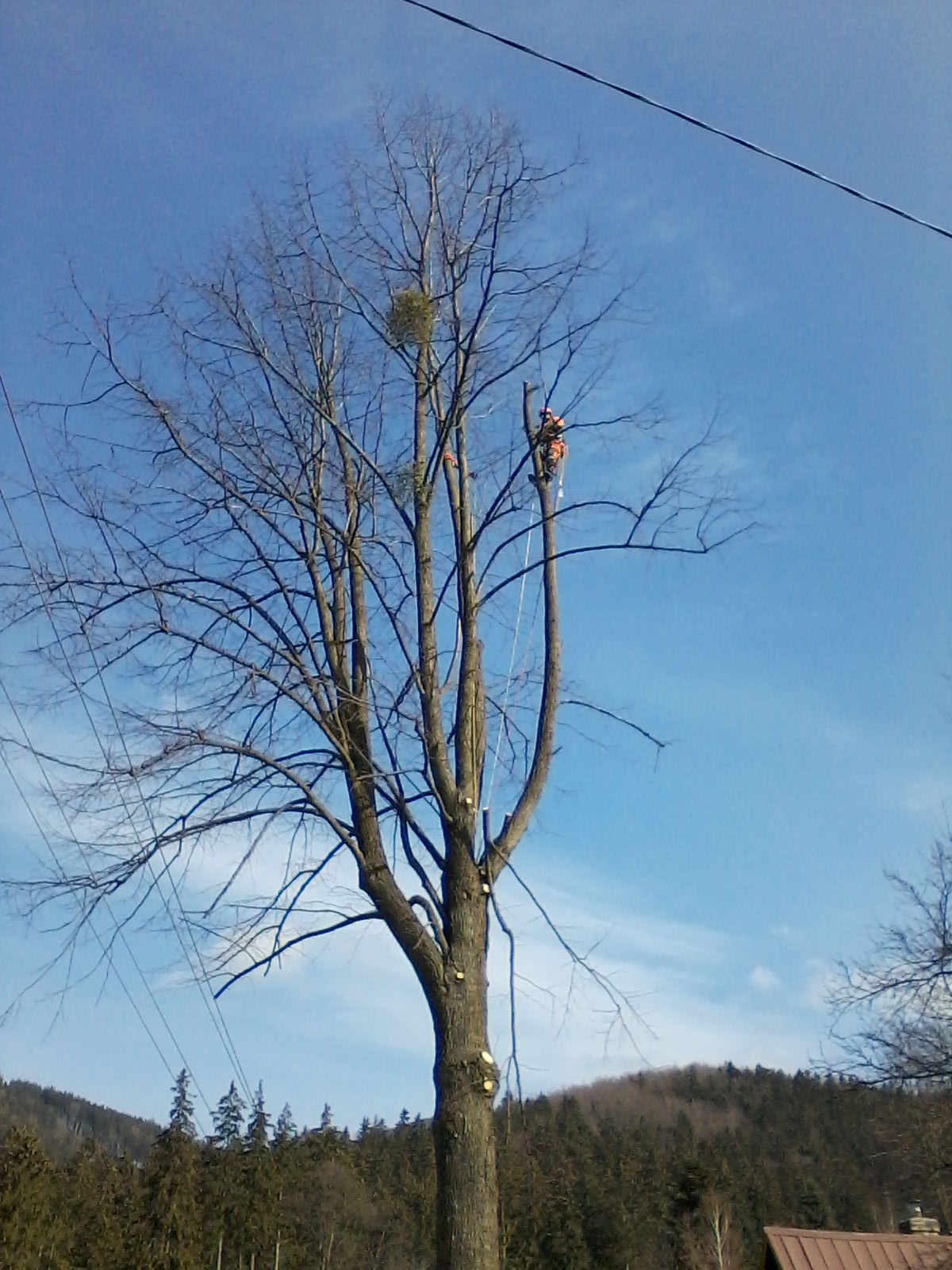 Miroslav Kocman foto 4