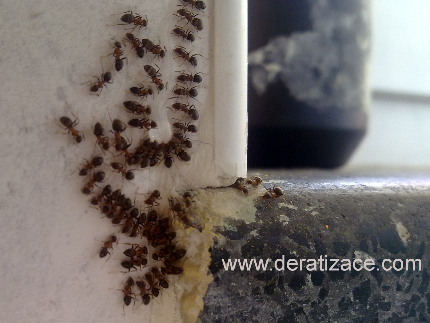 Hygienická a technická správa objektů WSi s.r.o. foto 3