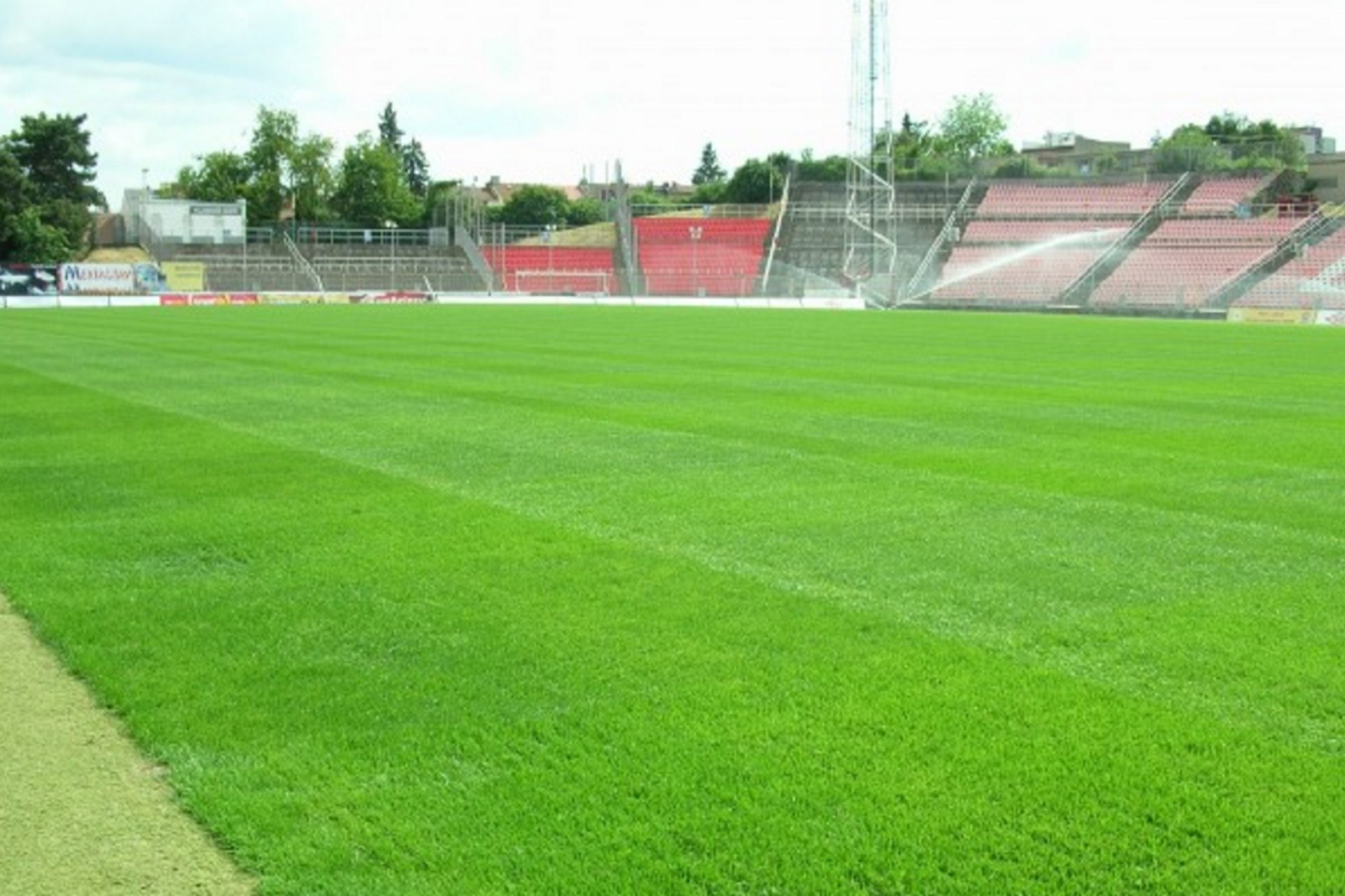 Sportovní travnaté povrchy, s.r.o. foto 2