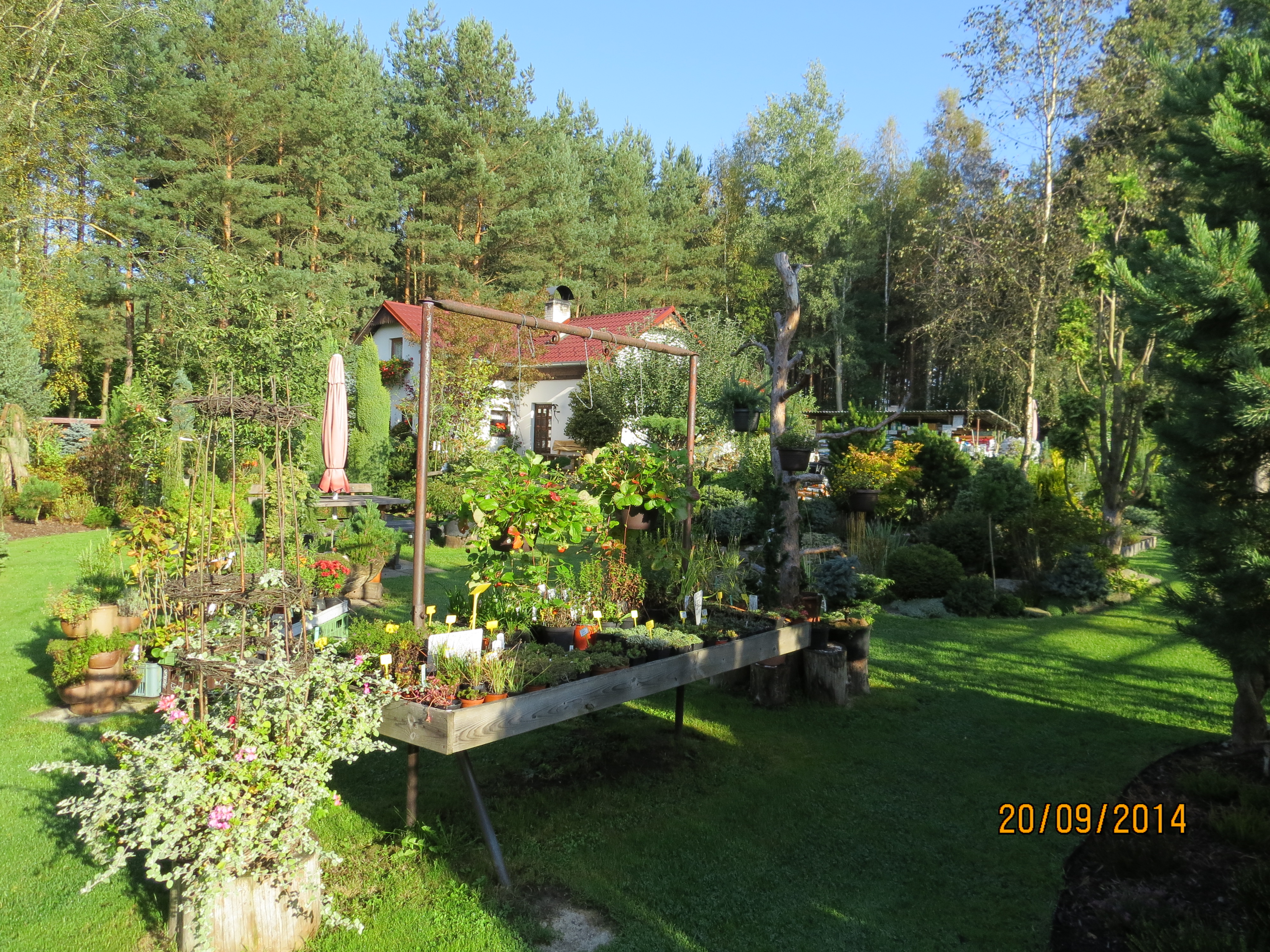 Okrasné zahradnictví Skořepová