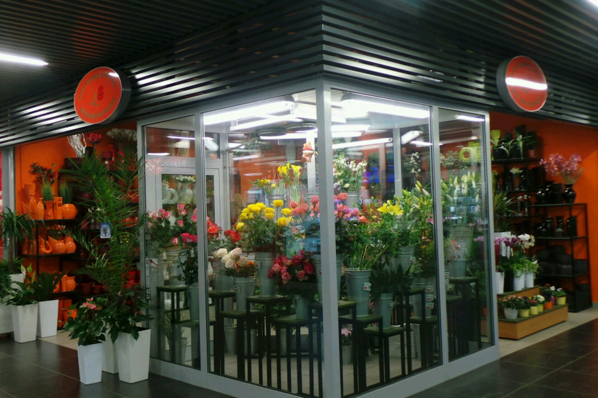 HOLANDSKÉ KVĚTINY, s.r.o.