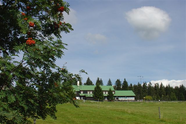 Lesní bouda foto 4