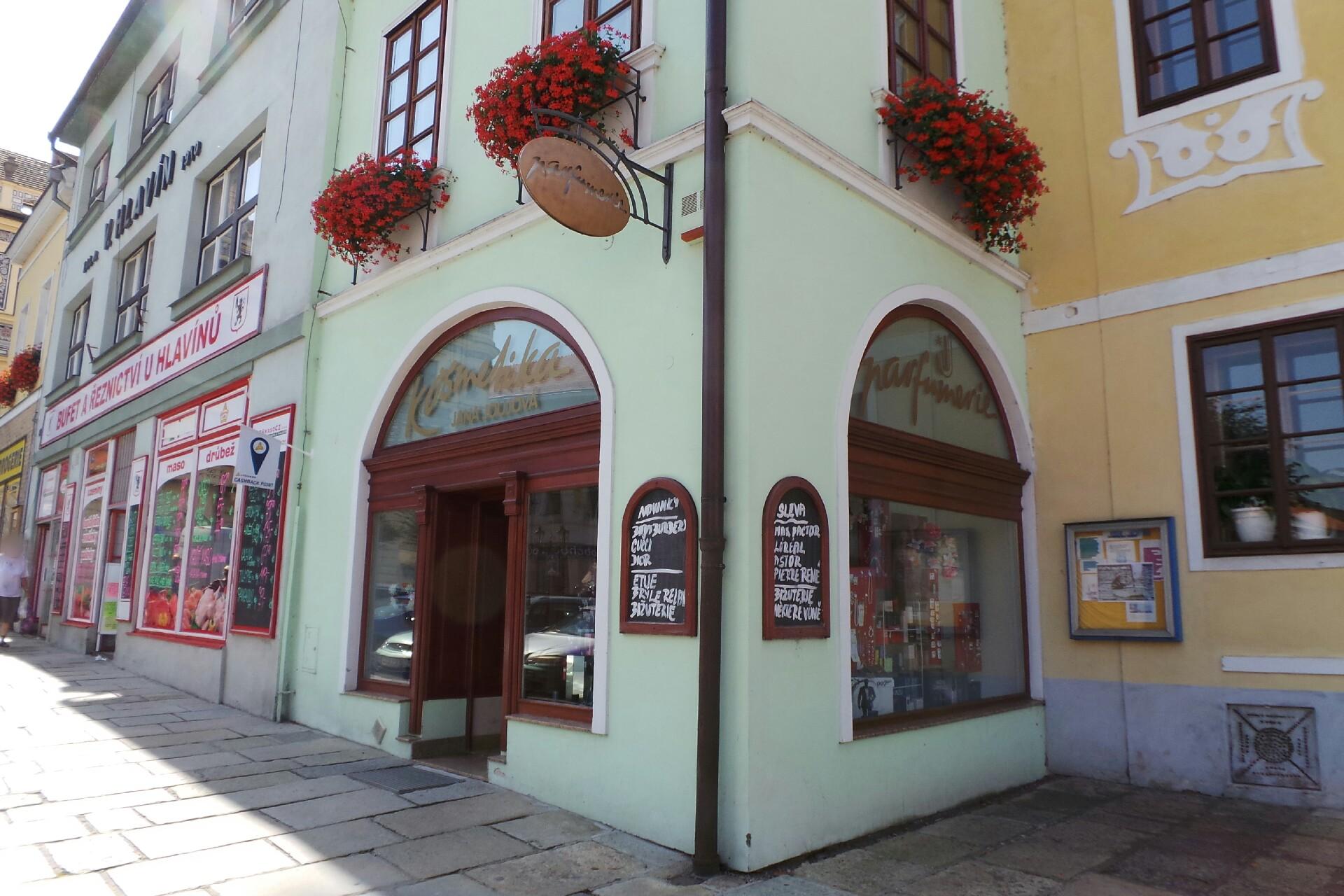 Jana Joujová foto 1