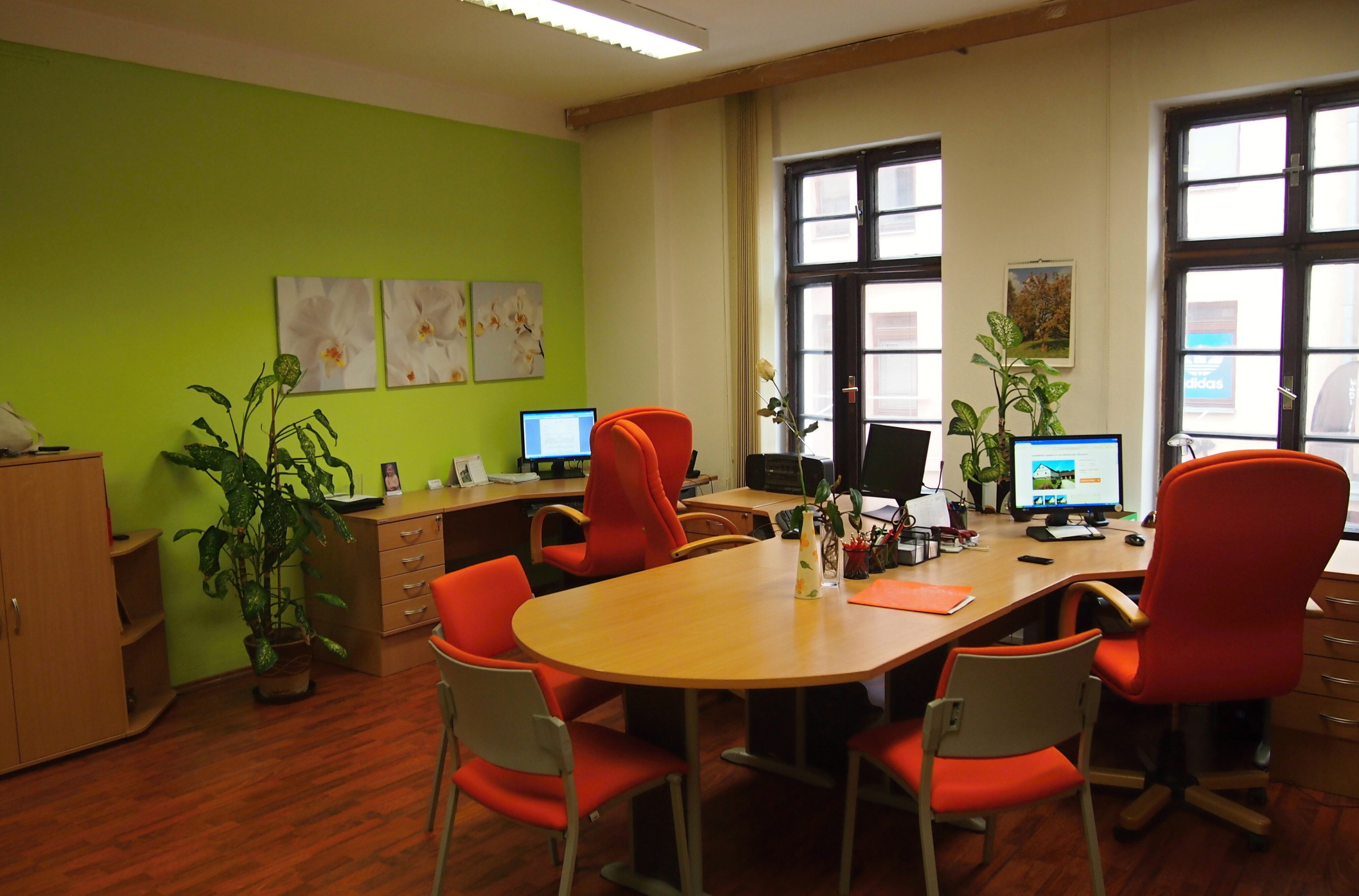 Efekt Reality - Milena Chodurová foto 2