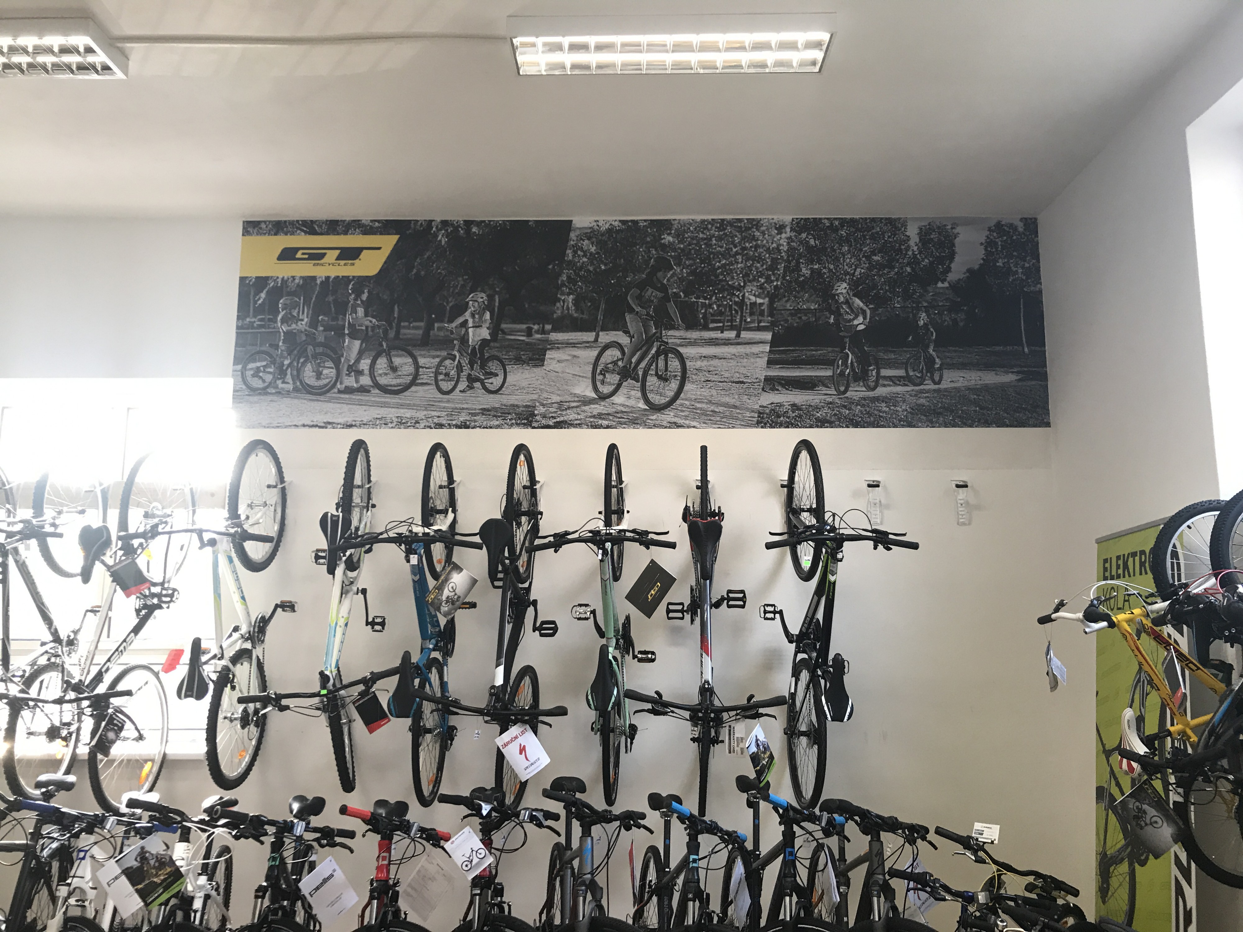 Jízdní kola Ramala foto 4