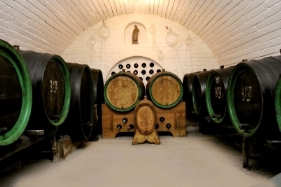 Rodinné vinařství Vojtěch Jestřáb foto 2