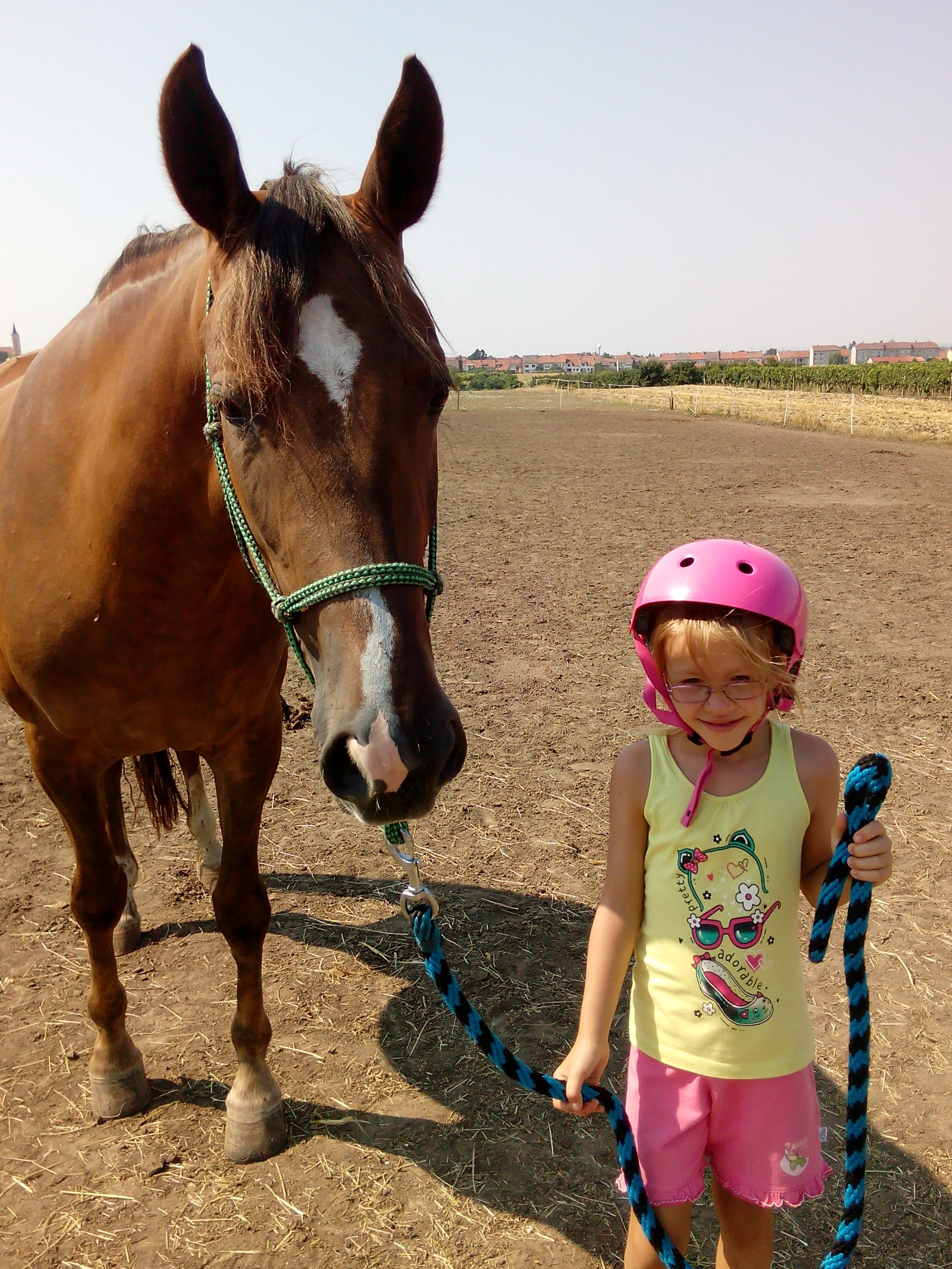 Stáj Mezi vinohrady foto 3