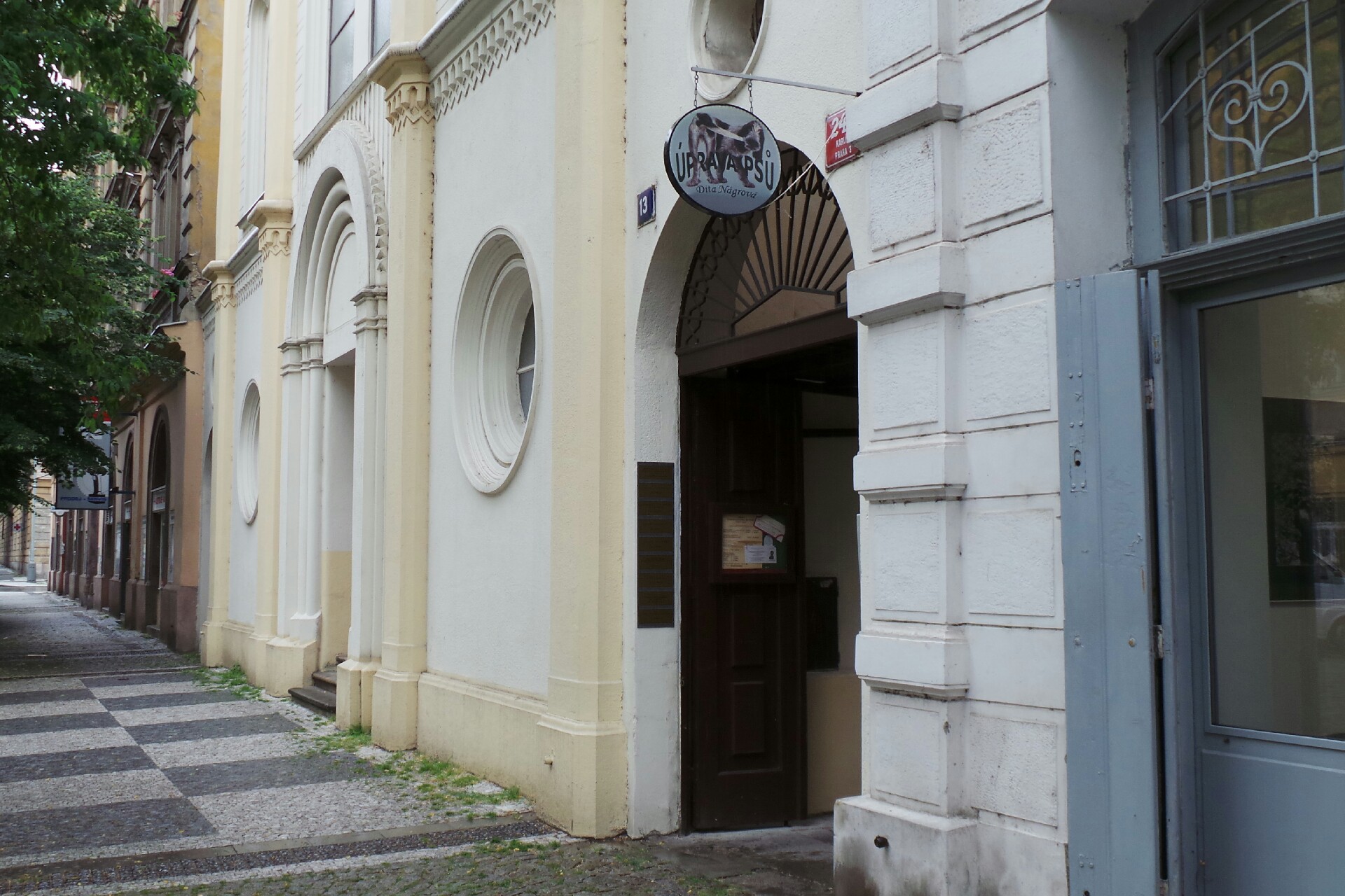 Dita Nágrová - stříhání psů