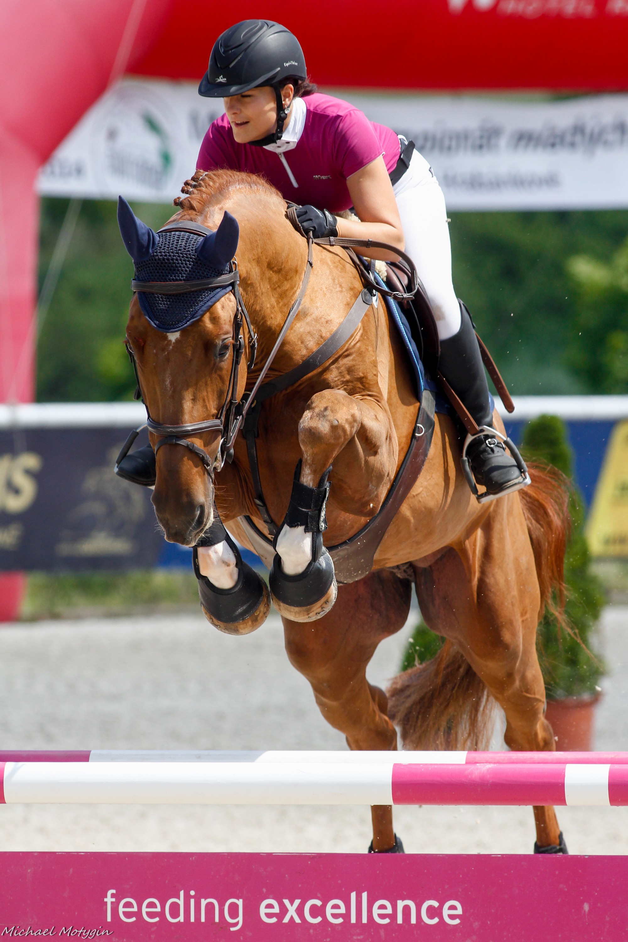 WinnerHorses foto 2