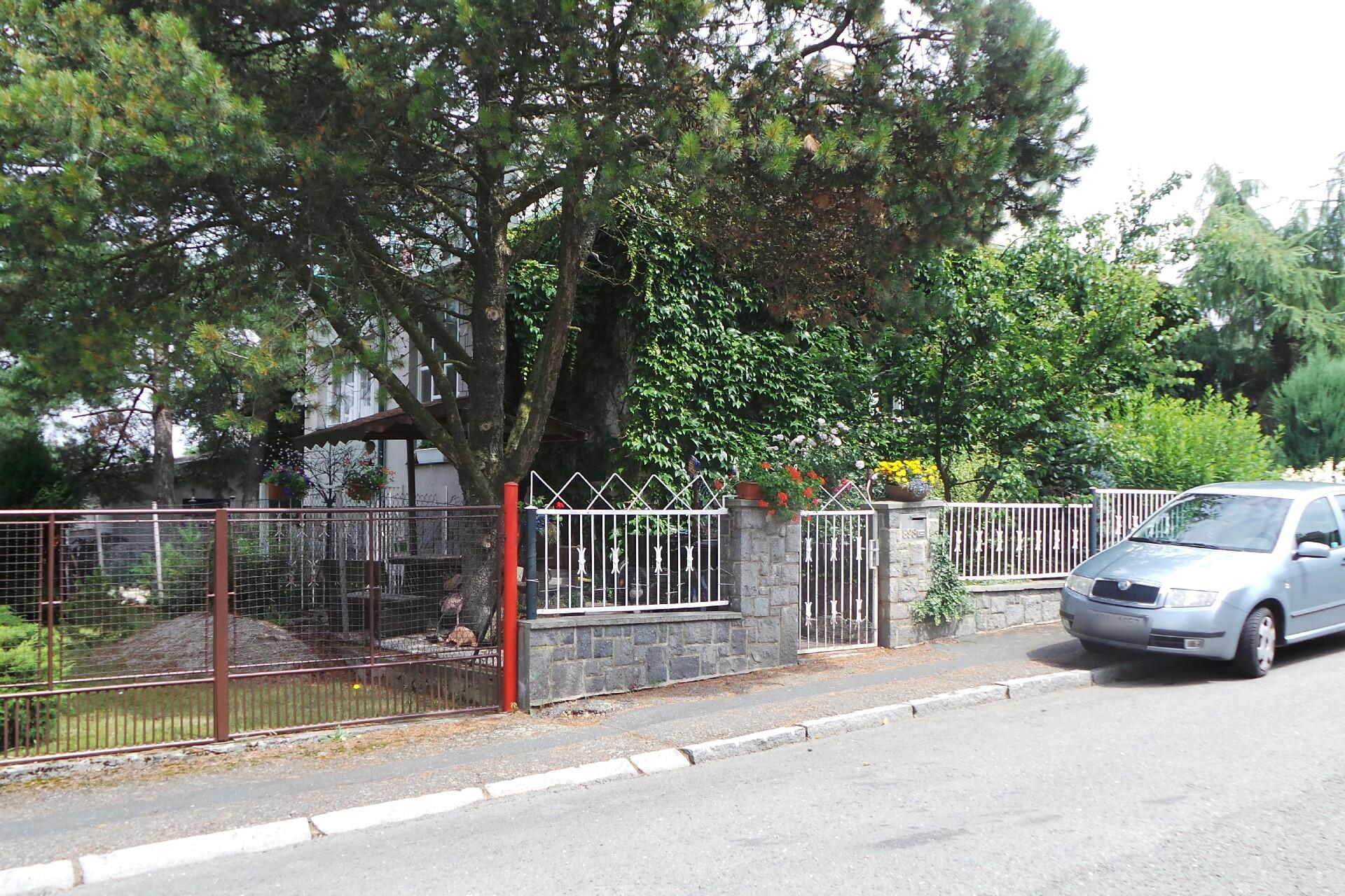 Zlatý střih - Ilona Hofmannová