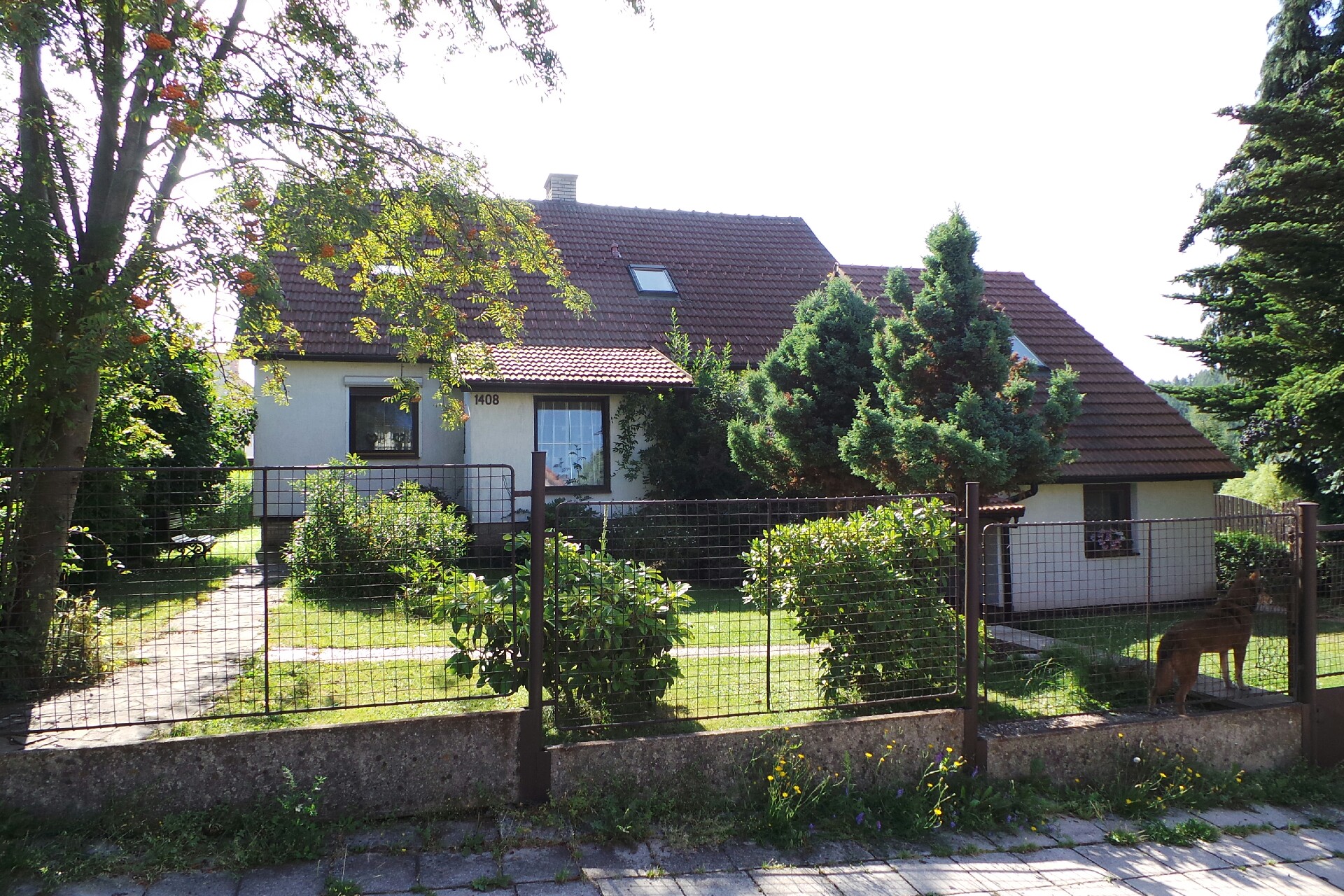 Ing. Petr Kosejk foto 2