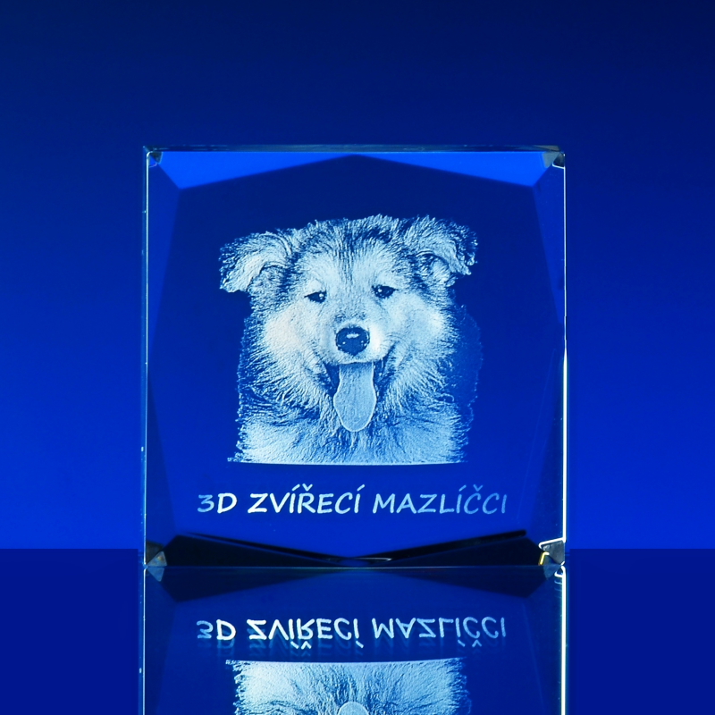 3d-laser.cz foto 6