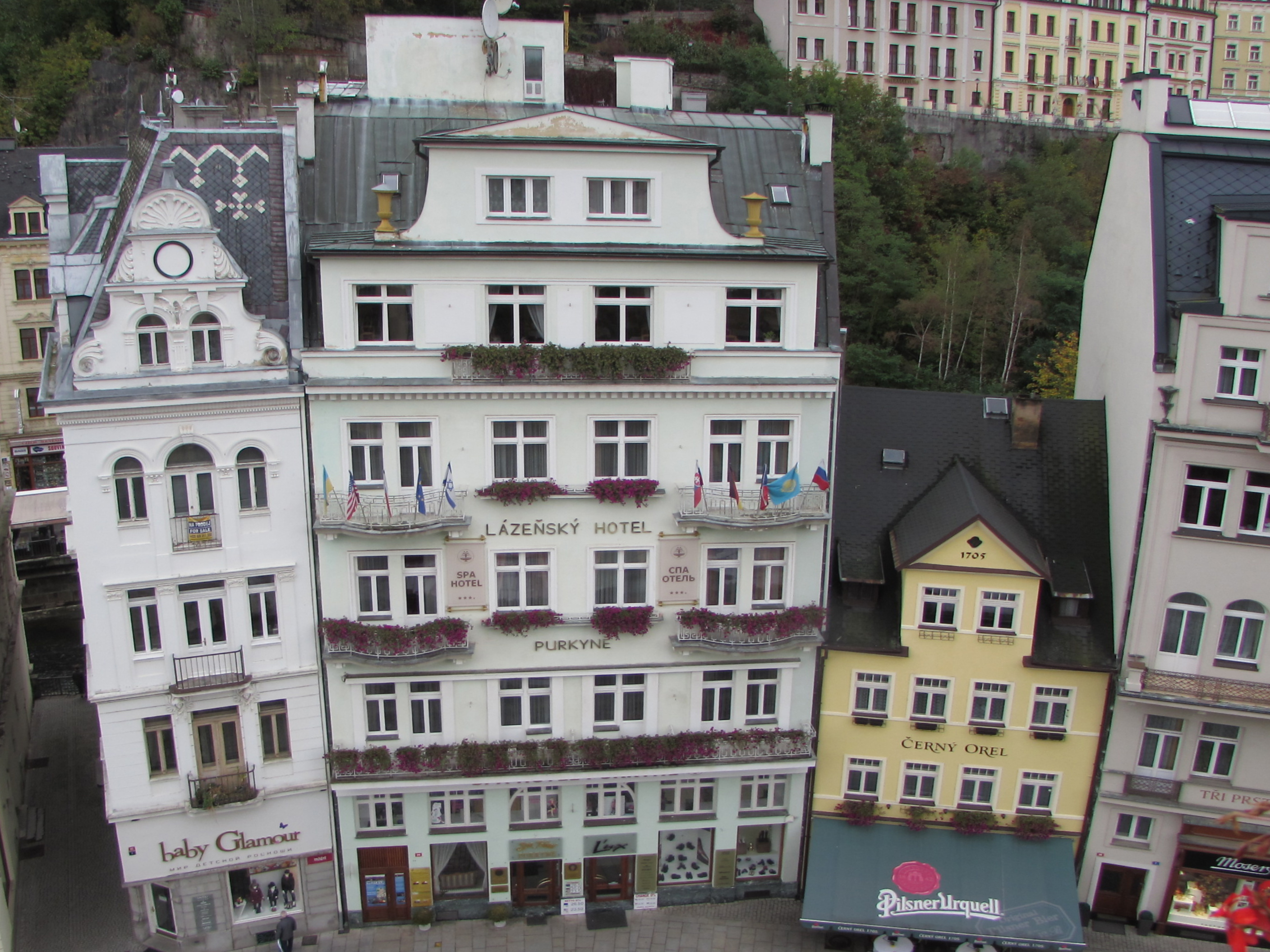 Spa hotel Purkyně foto 2