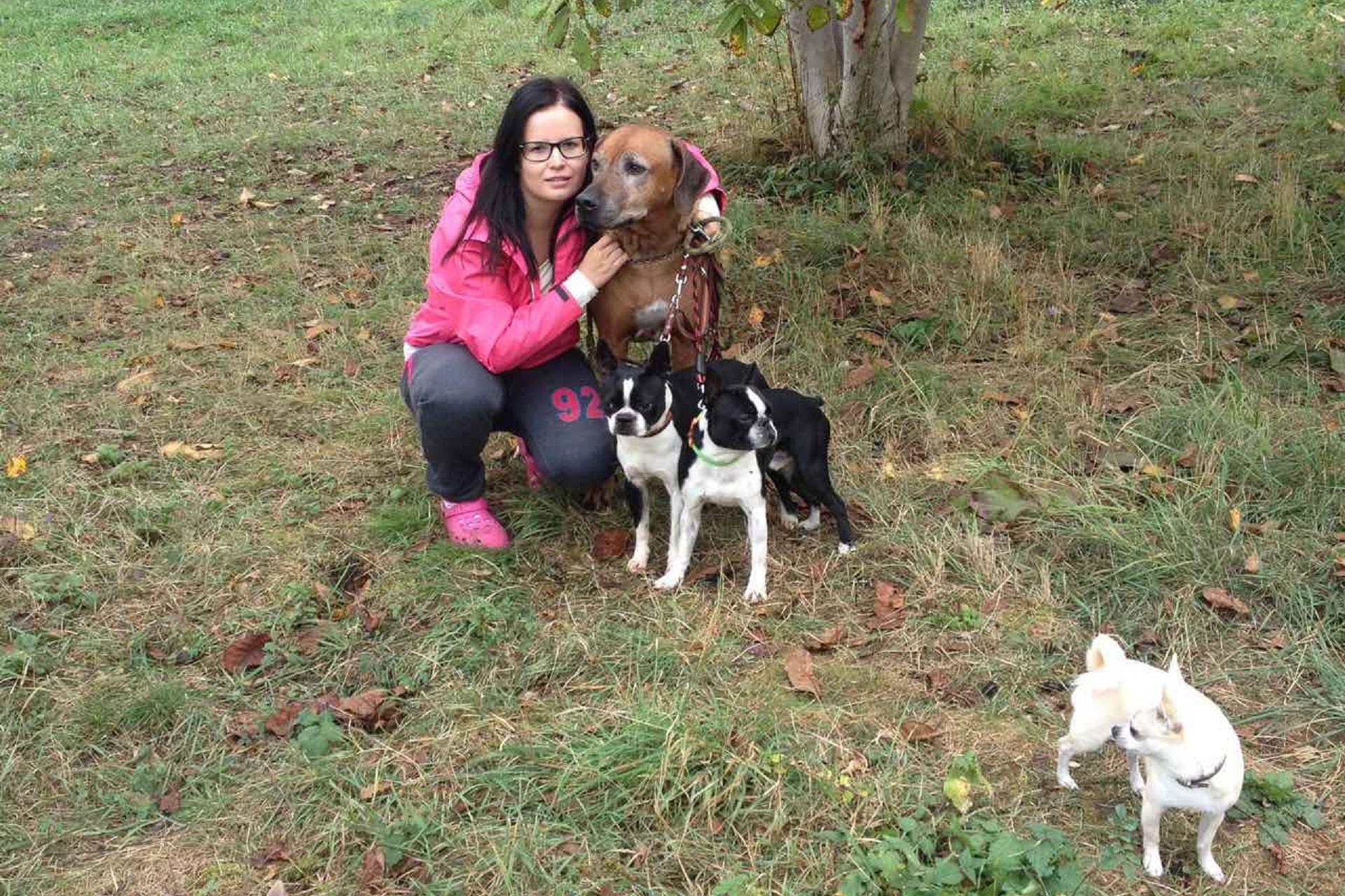 MINIDOGS - psí hotel, školka a salon