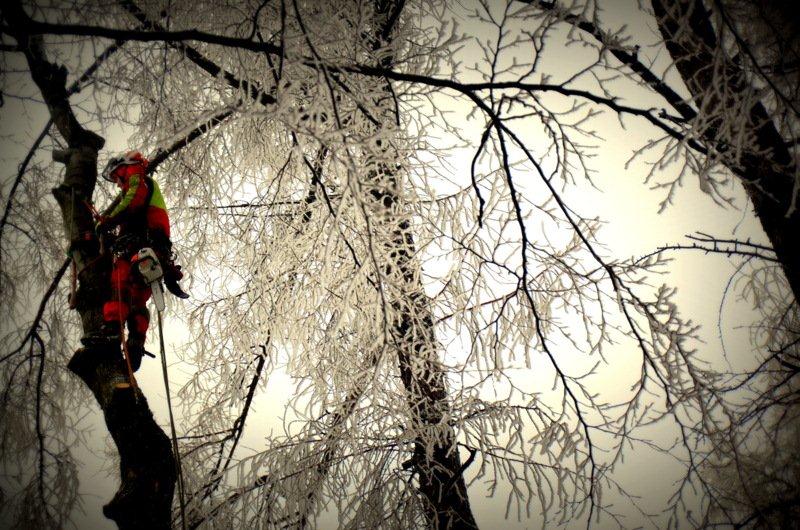 VYKRUT zahradní služby, a.s. foto 4