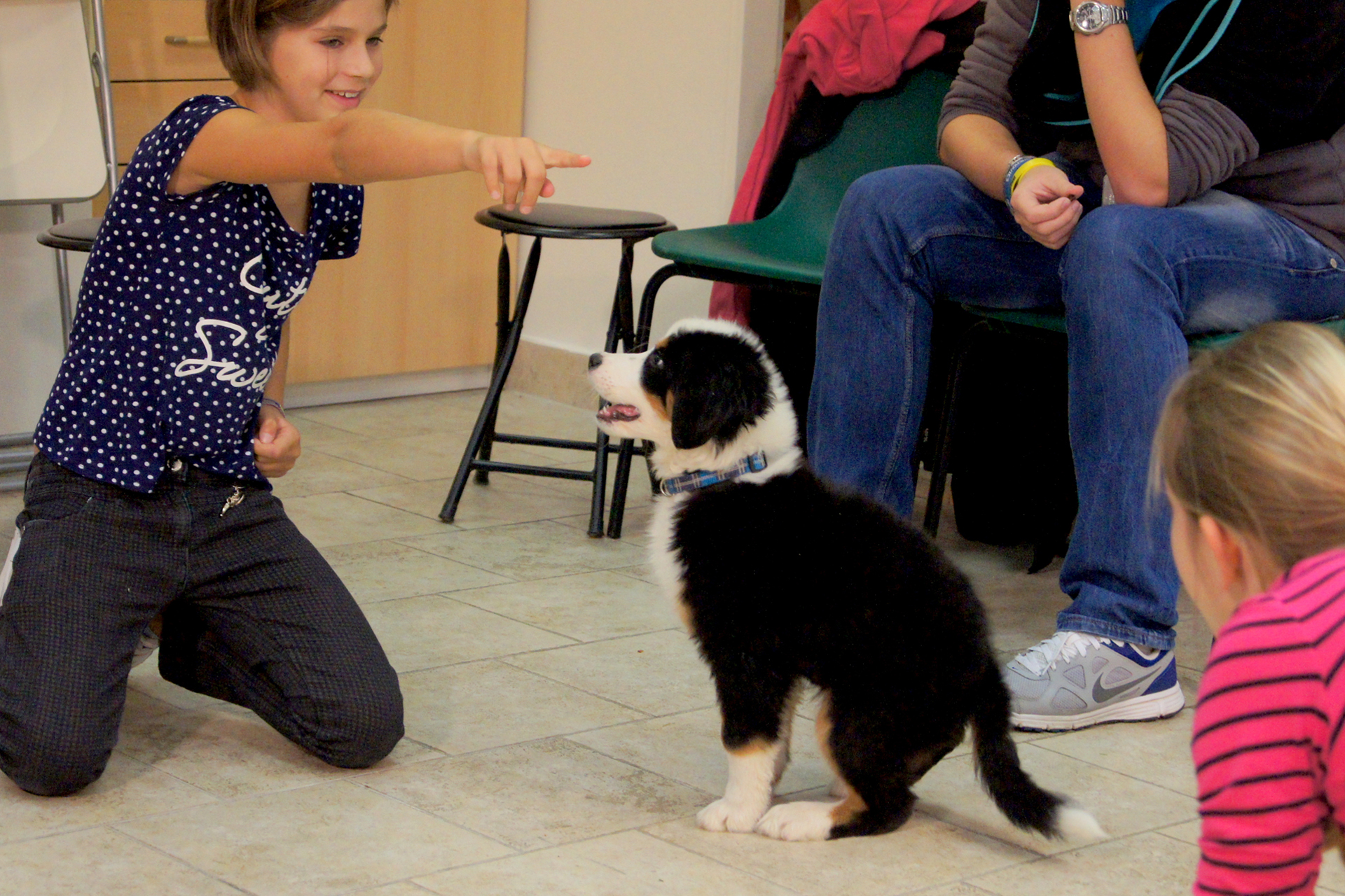 Kubova socializační školka pro štěňata a dospívající psy