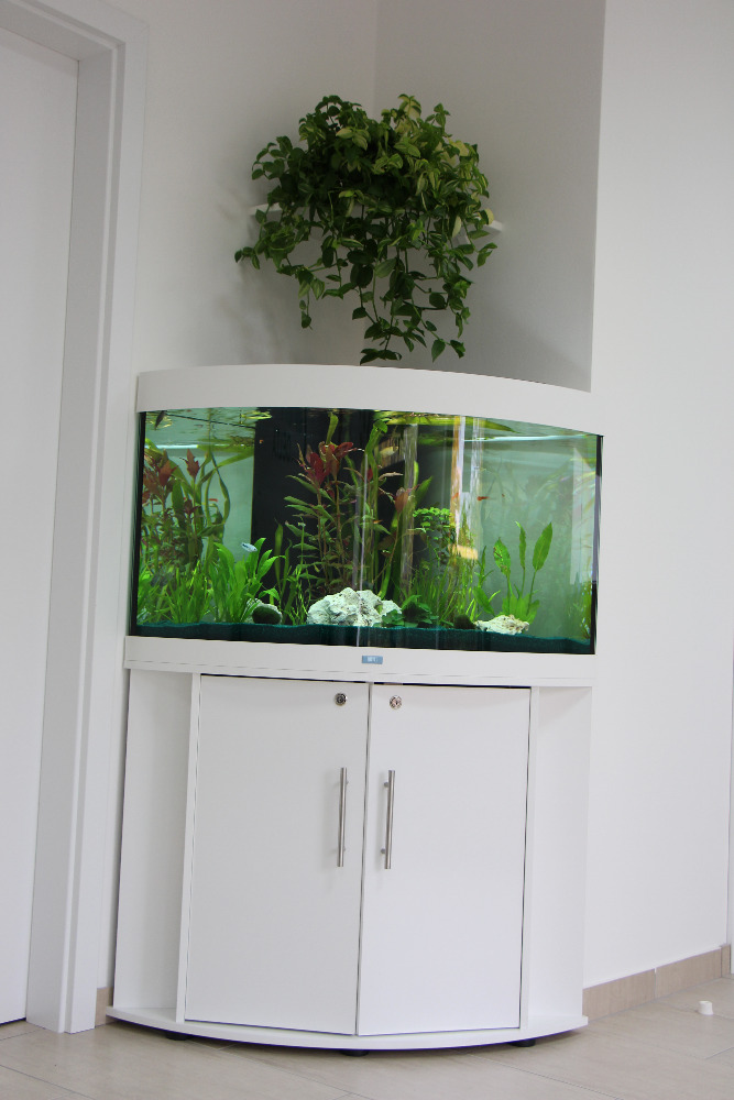 Veterinární klinika Delta MVDr.Michael Růžička, s.r.o. foto 4