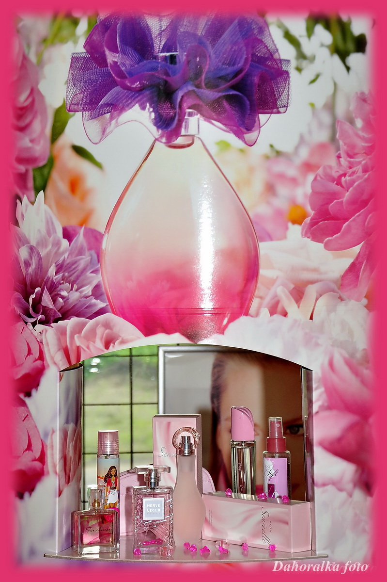 Dagmar Šrubařová foto 4