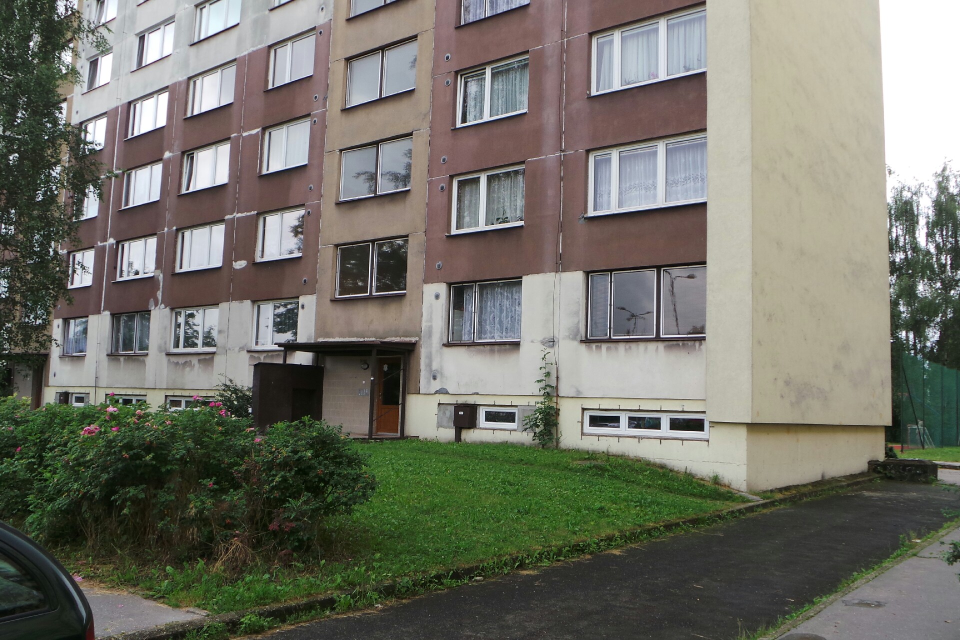 Roman Rajgl - JANOME