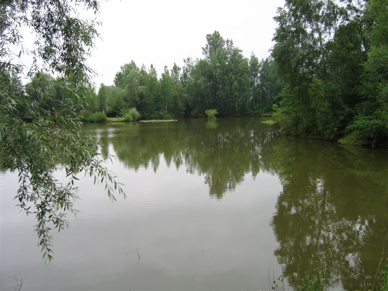 Vilka Ivana 18 a 19 u Hustopecskych jezer foto 3