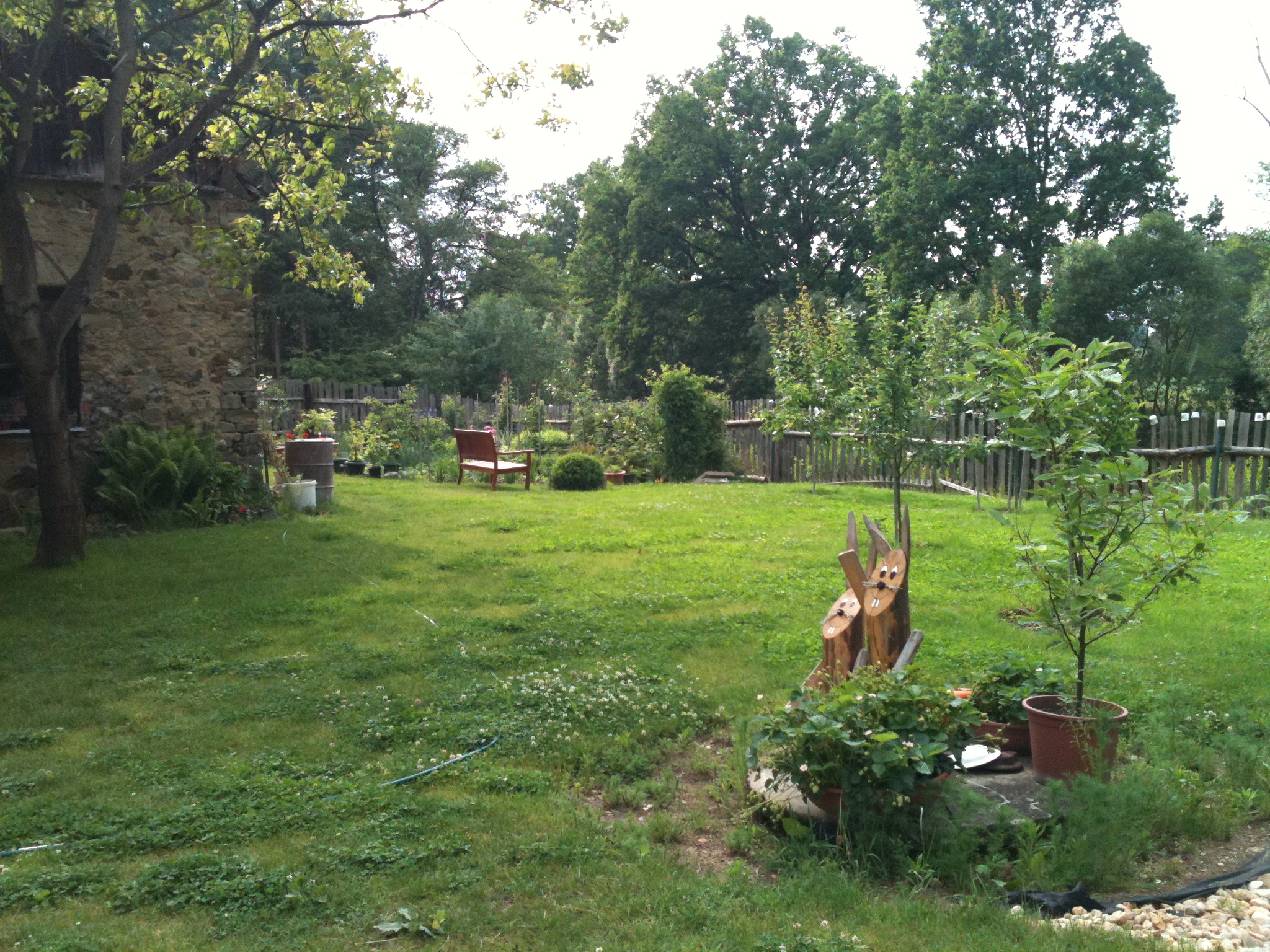 Penzion Hamr u Veselí foto 3