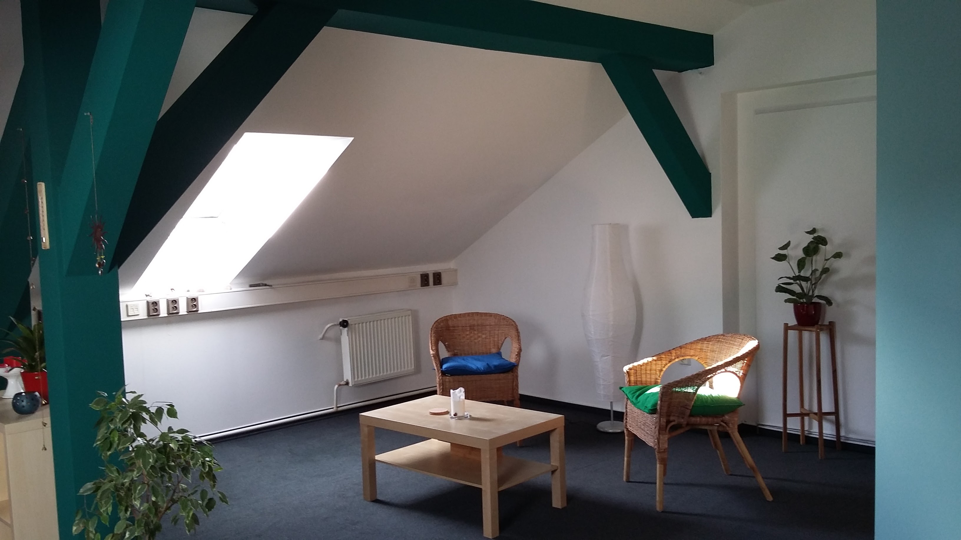 ŘEPOVÁ PSYCHOTERAPIE foto 1