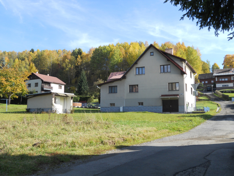 Ubytování Horní Rokytnice 217 foto 2