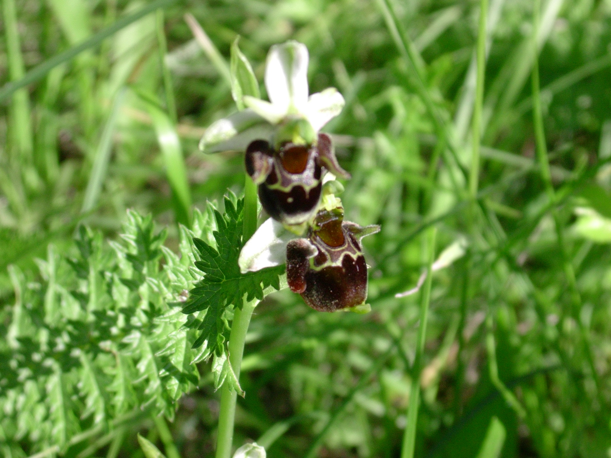 Informační centrum Velká nad Veličkou foto 3
