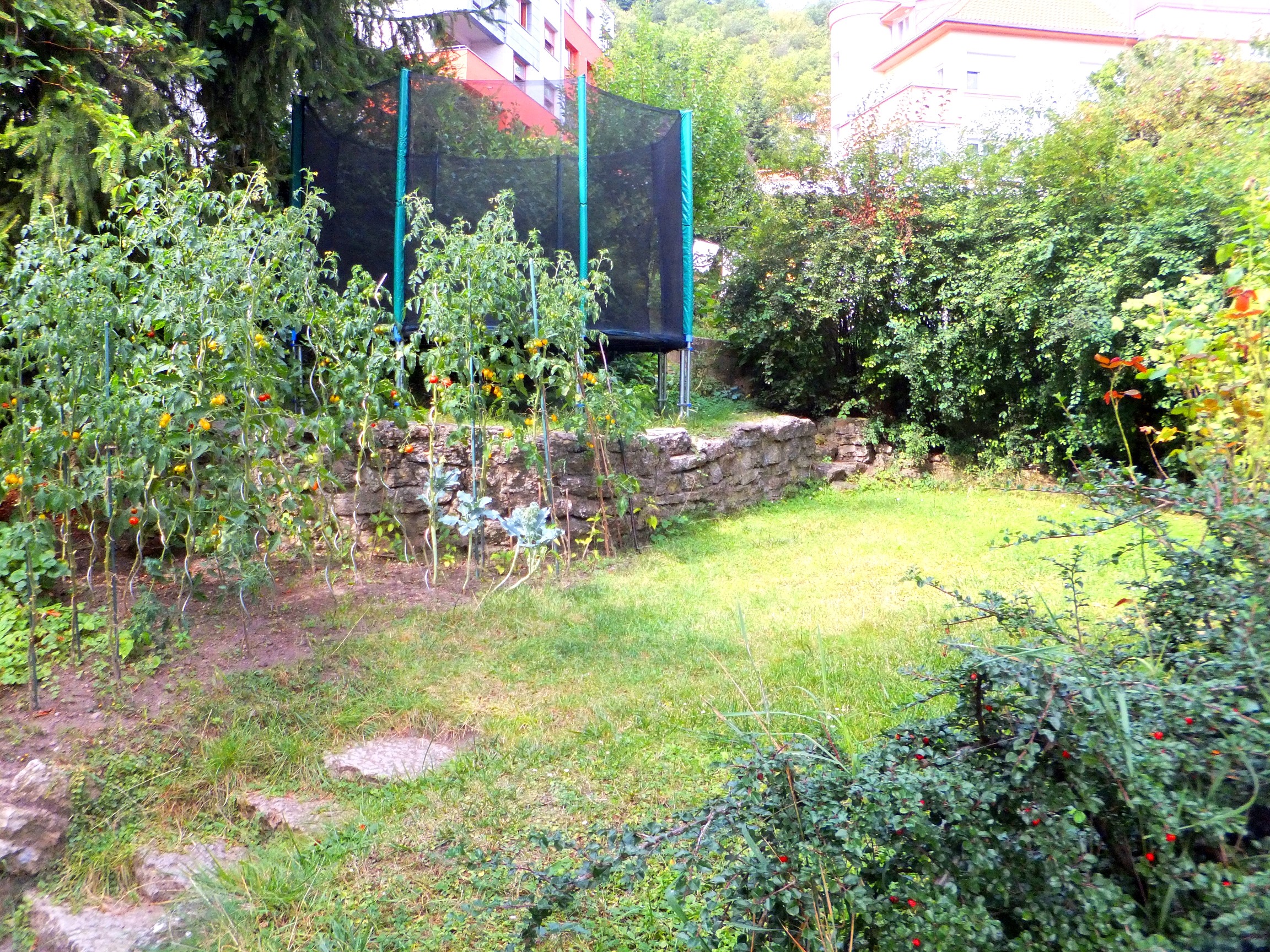 Studio Lentilka – soukromá školka foto 5