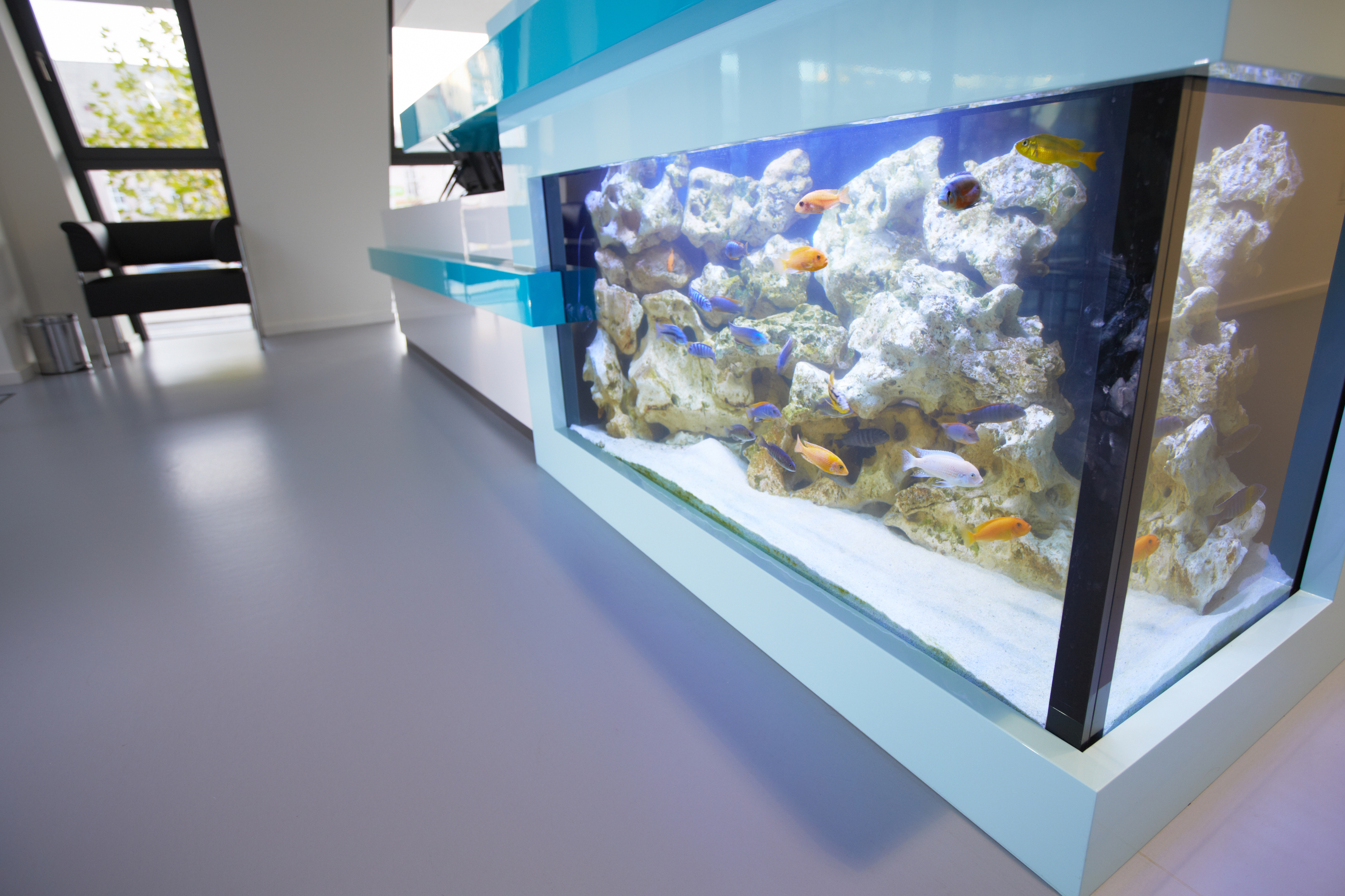 Dentální klinika Jan Stuchlík foto 2