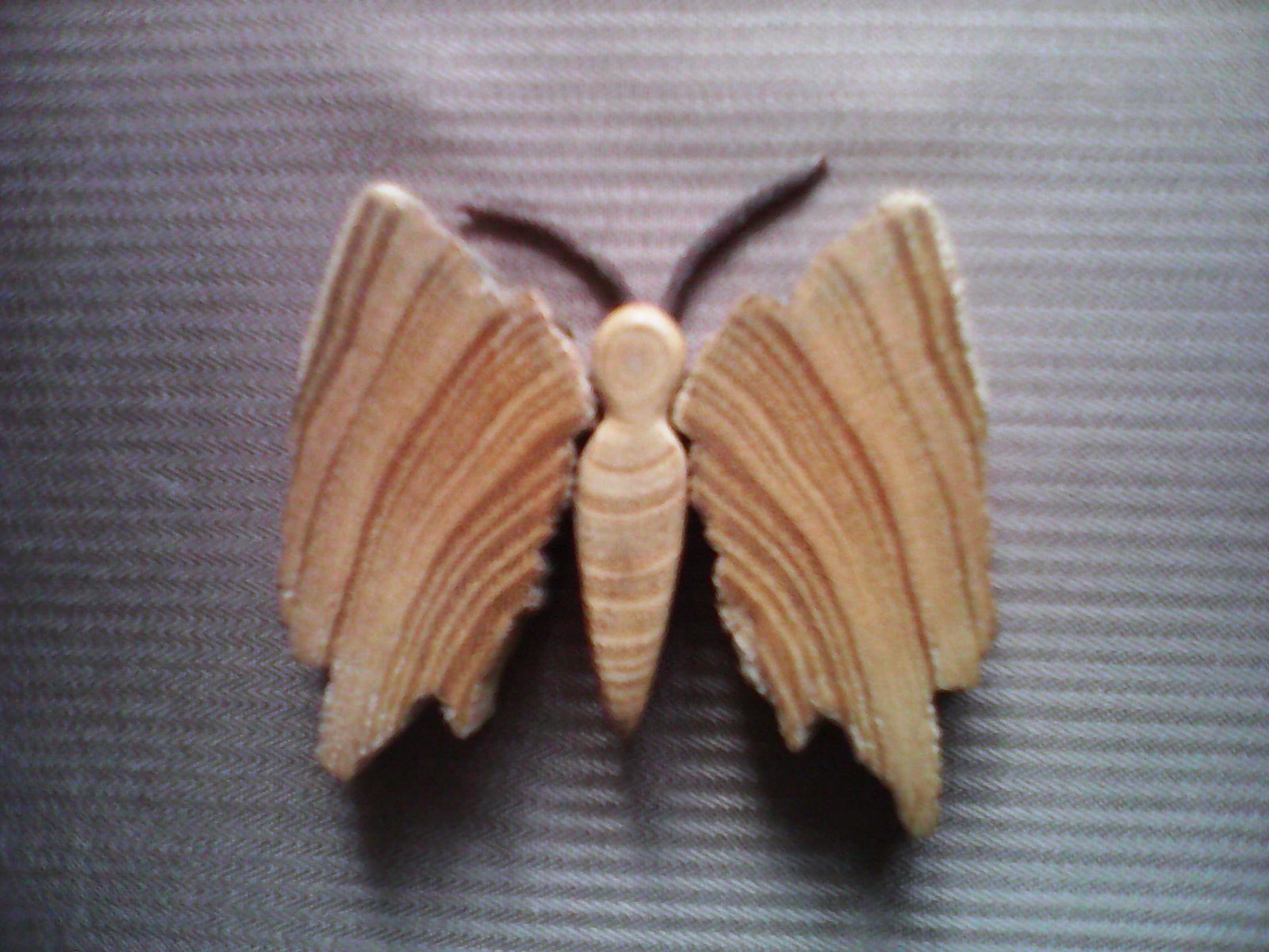 Agentura ARS VITA foto 3