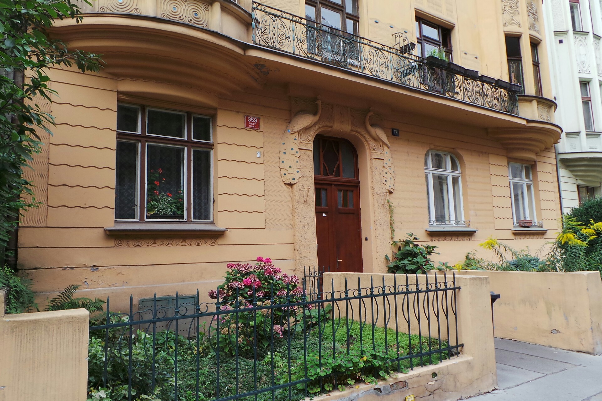 SHŠ Rytíři řádu Růže