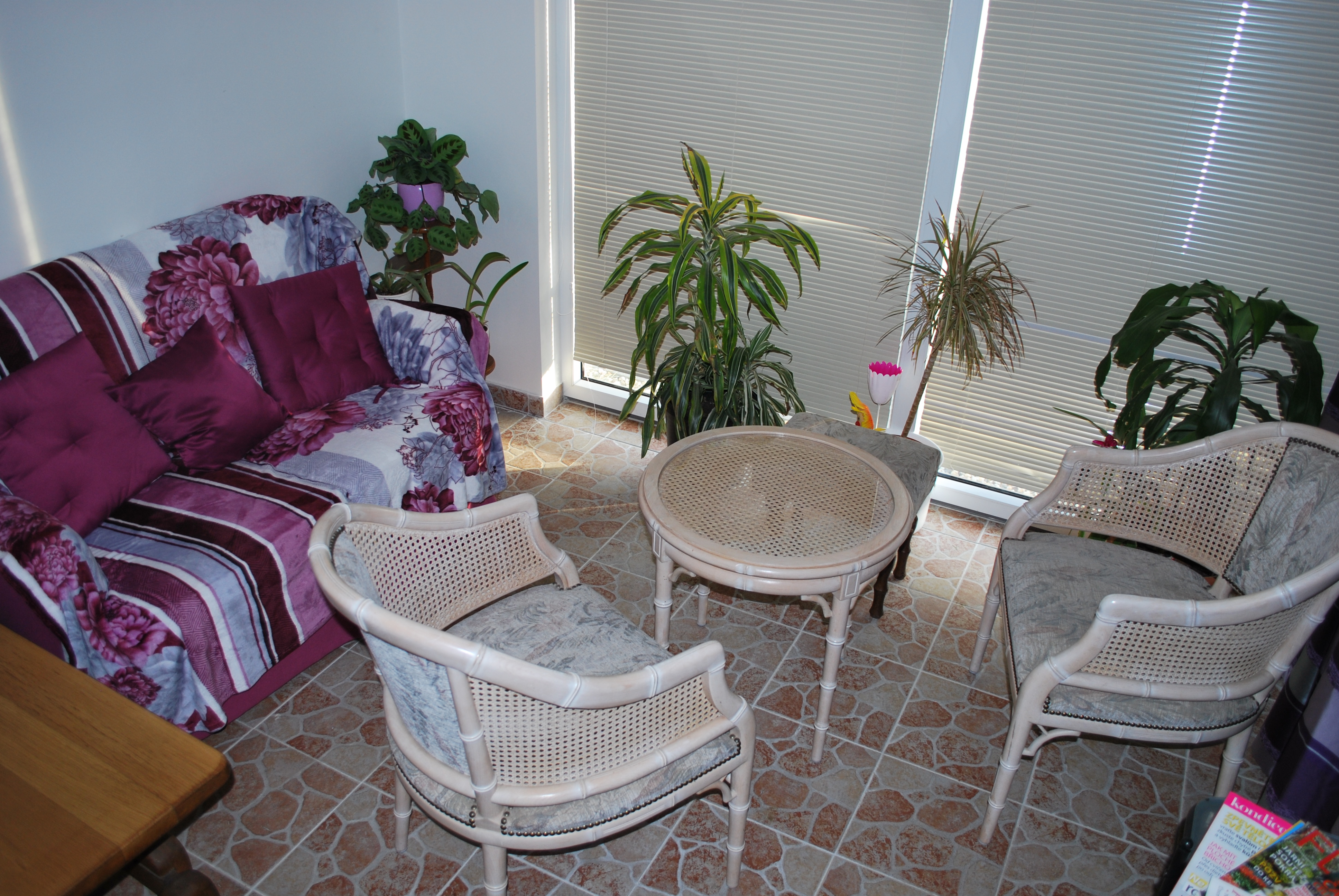 Psí salon Honey Rose - Jitka Buyens foto 3