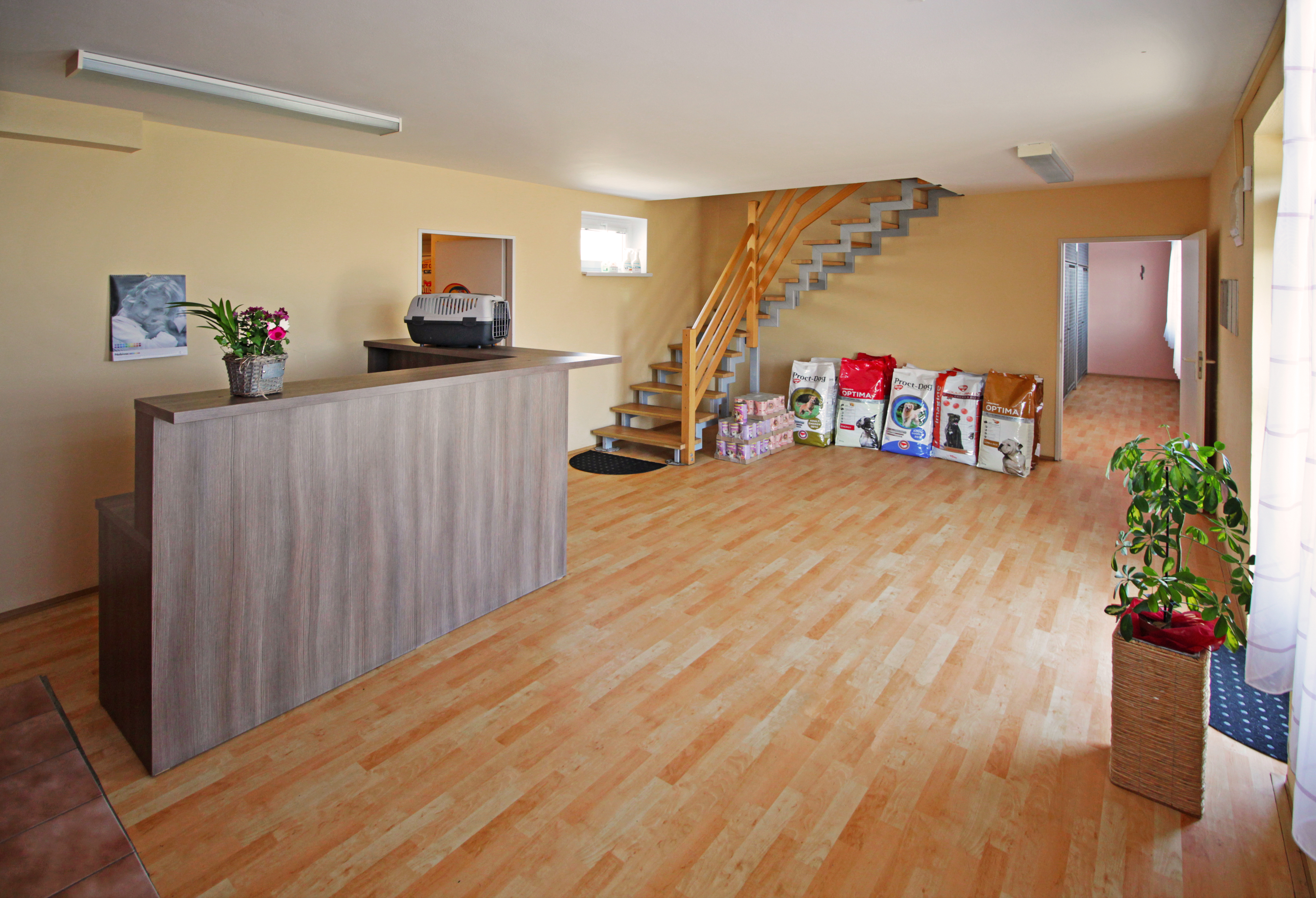 Hotel "nejen" pro psy foto 5