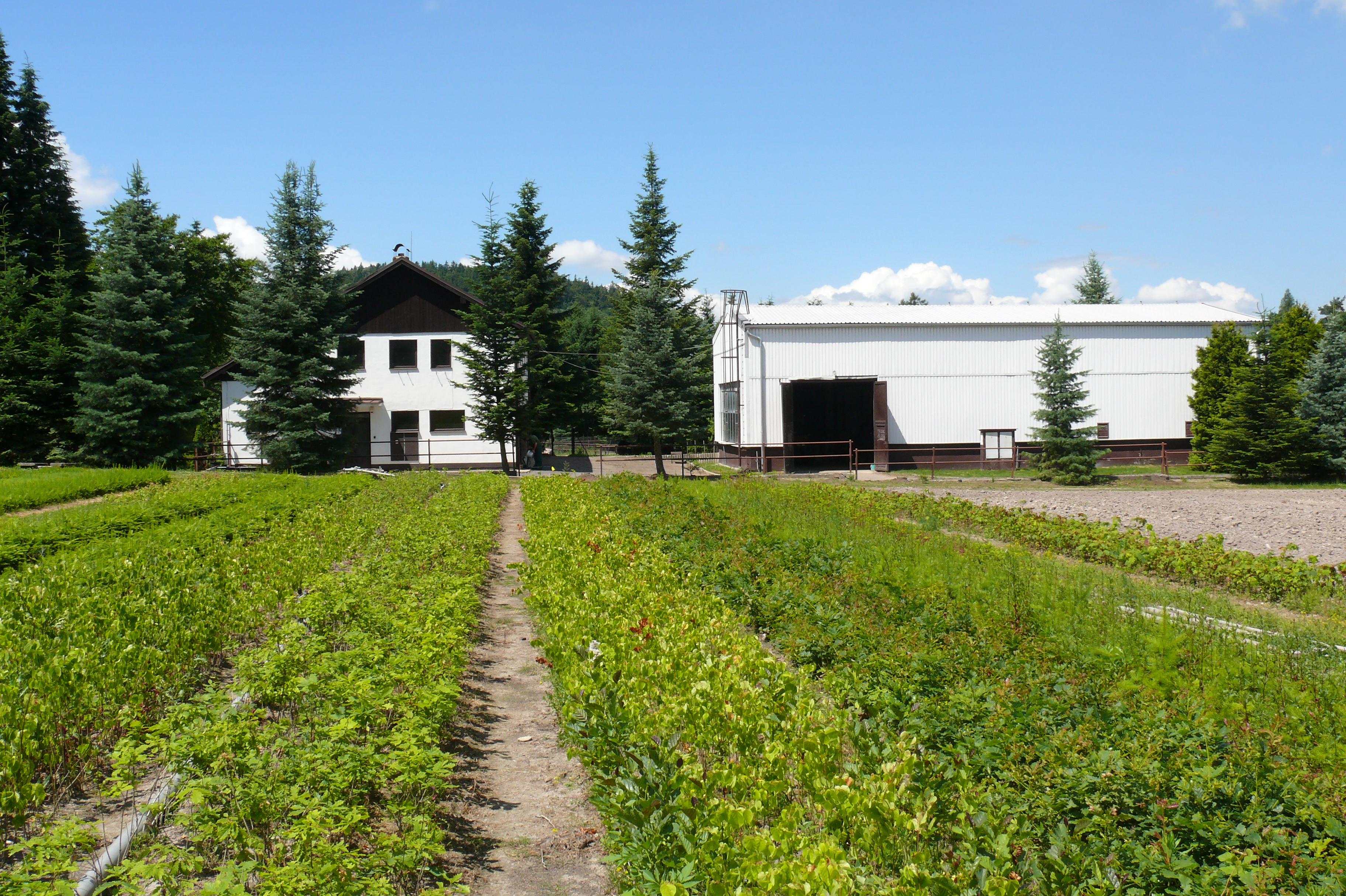 Lesy města Brna, a.s.